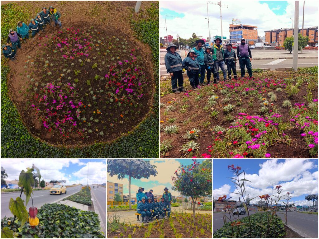 Historias del verde urbano: Más coloridas y diversas: así quedaron las jardineras del puente vehicular de la avenida Mutis con Boyacá
