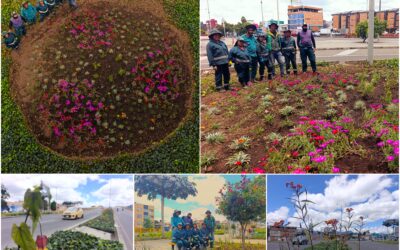 Historias del verde urbano: Más coloridas y diversas: así quedaron las jardineras del puente vehicular de la avenida Mutis con Boyacá