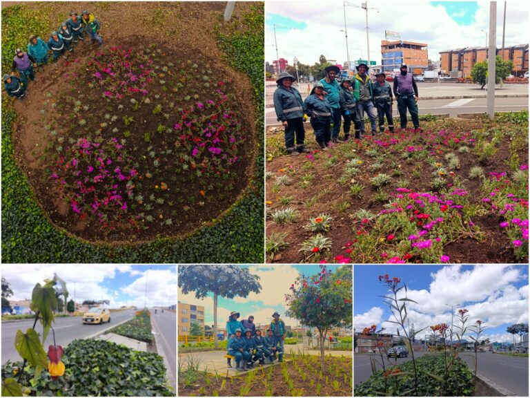 Historias del verde urbano: Más coloridas y diversas: así quedaron las jardineras del puente vehicular de la avenida Mutis con Boyacá