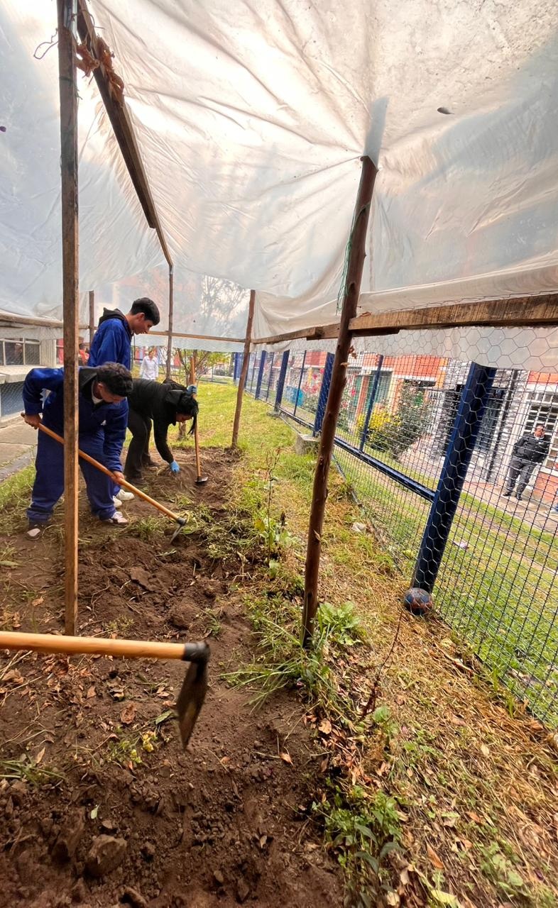 Tejiendo territorios: Sembrando resiliencia en el sur: la comunidad del Colegio Miravalle transforma su territorio
