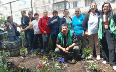 Sabiduría y color: Adultos mayores de San José de la Granja tejen un refugio para polinizadores