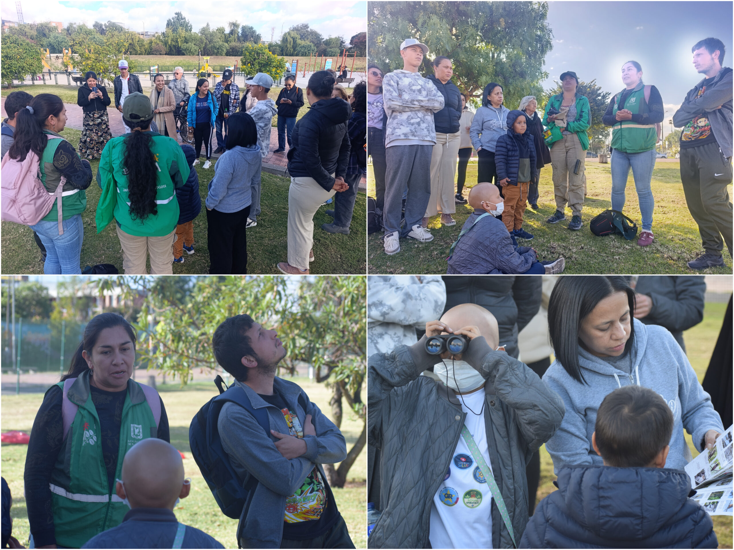 Historias del verde urbano: ¡Una pajareada en Timiza durante el atardecer! Historias del verde urbano: ¡Una pajareada en Timiza durante el atardecer!