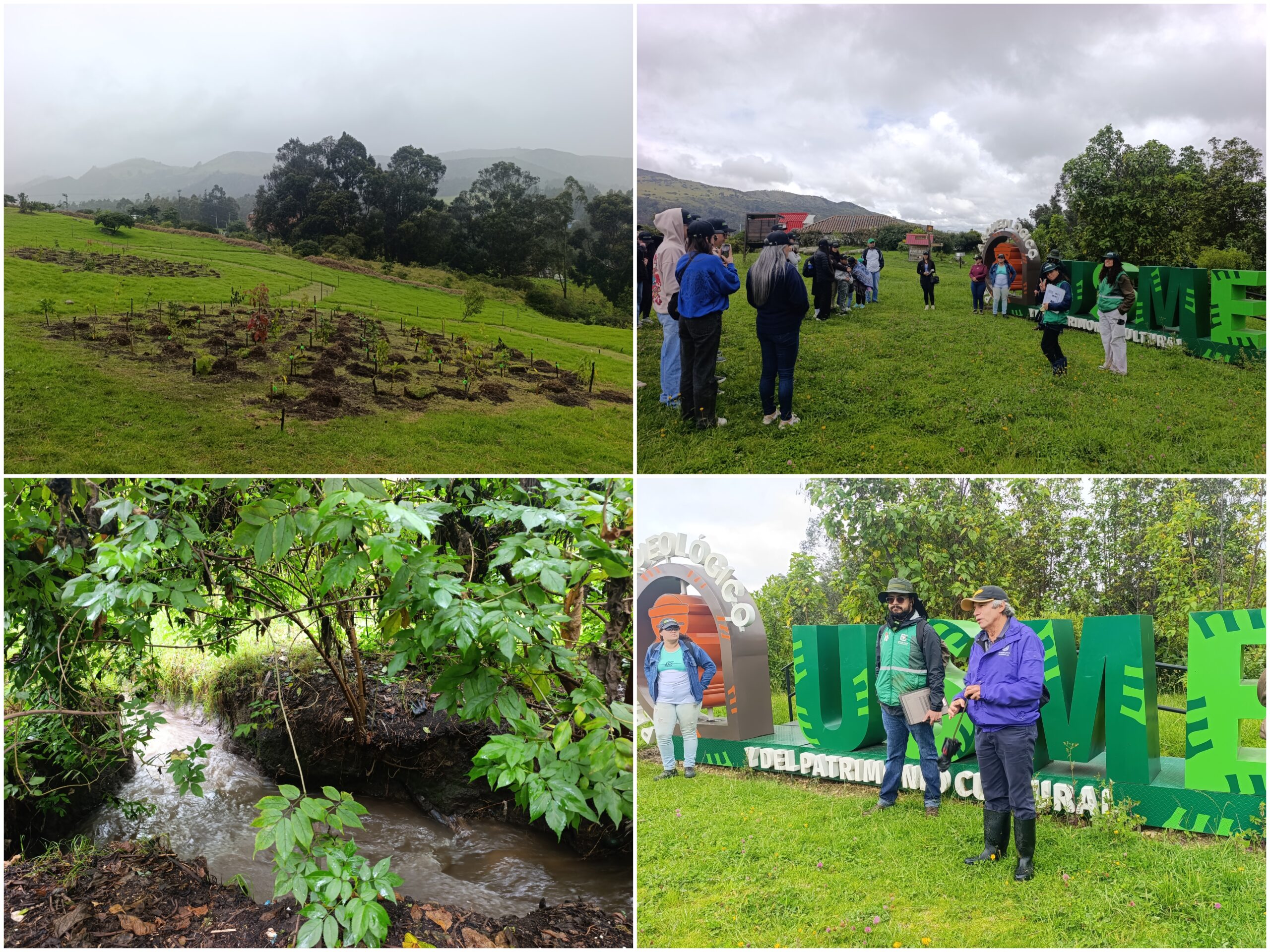 Historias del verde urbano: Jornada de restauración ecológica en la única área arqueológica protegida de Bogotá