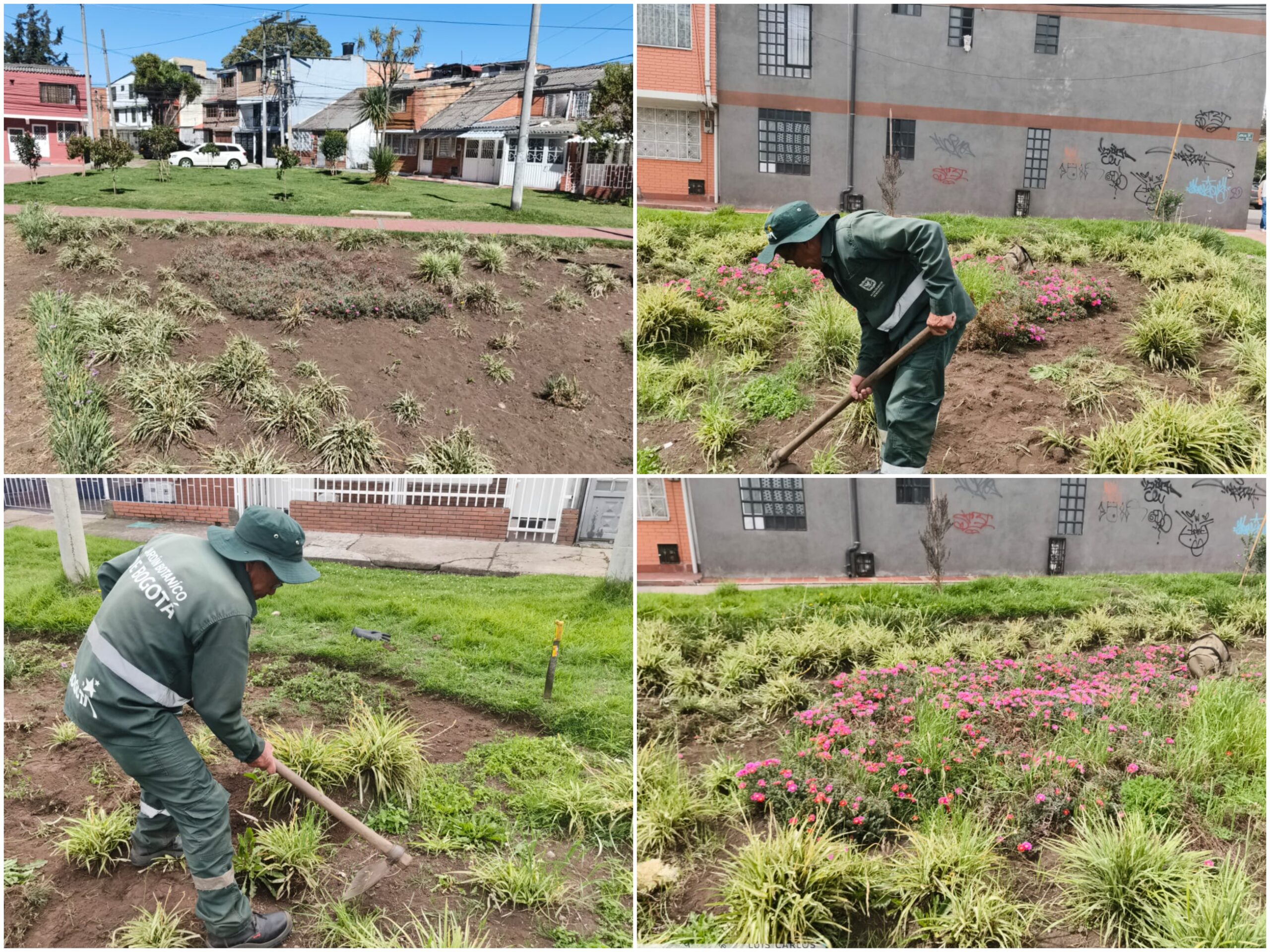 Historias del verde urbano: ¡El corazón jardinero del Quirigua vuelve a latir!