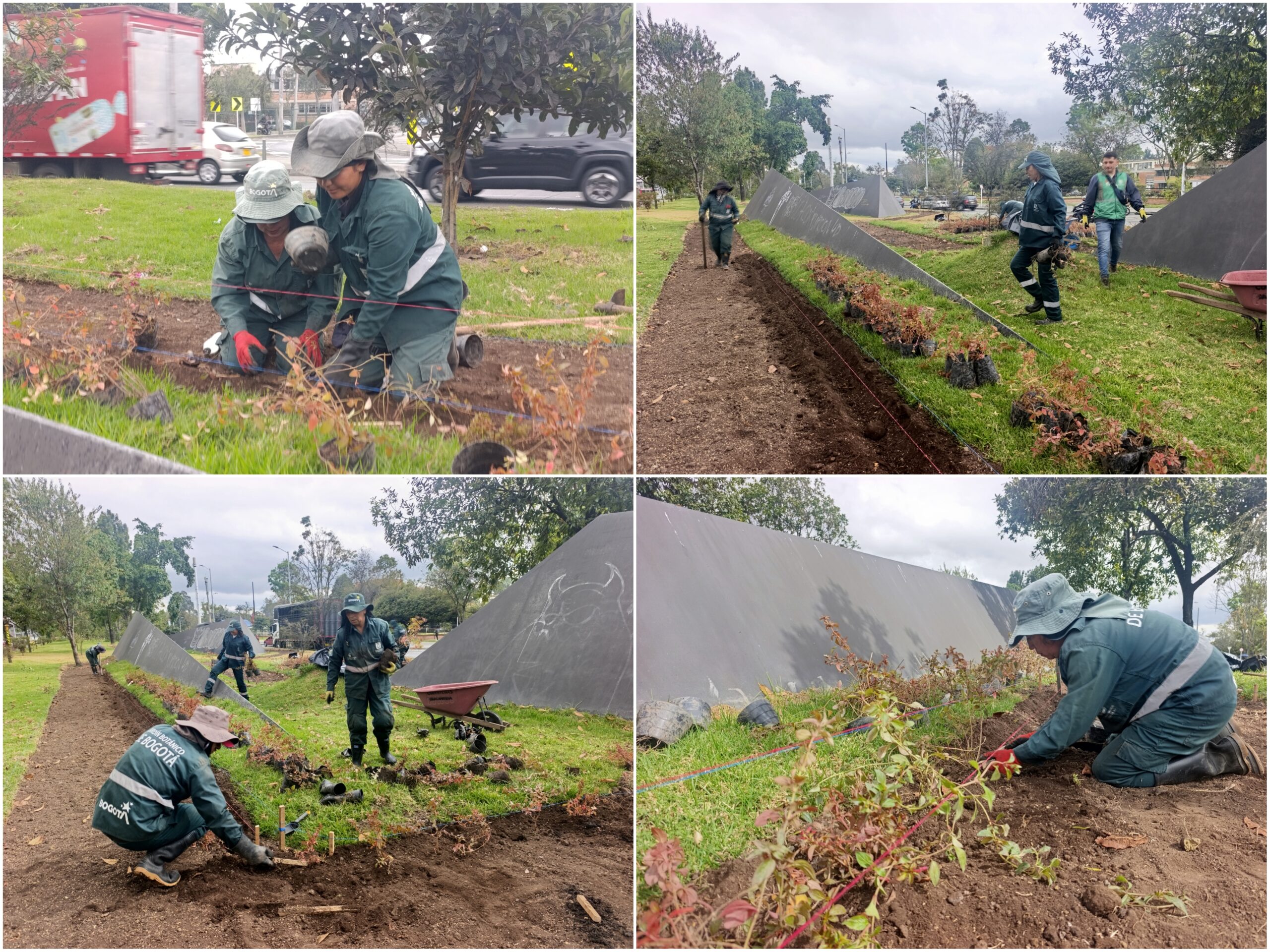 Historias del verde urbano: ¡El nuevo río floral que fluye por la calle 26!