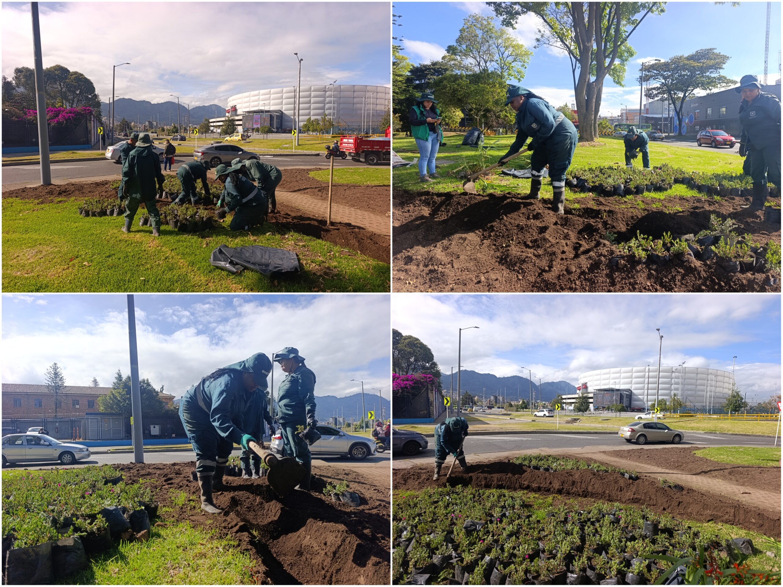 Historias del verde urbano: ¡Reviven las jardineras de la oreja de la calle 63 con carrera 30!