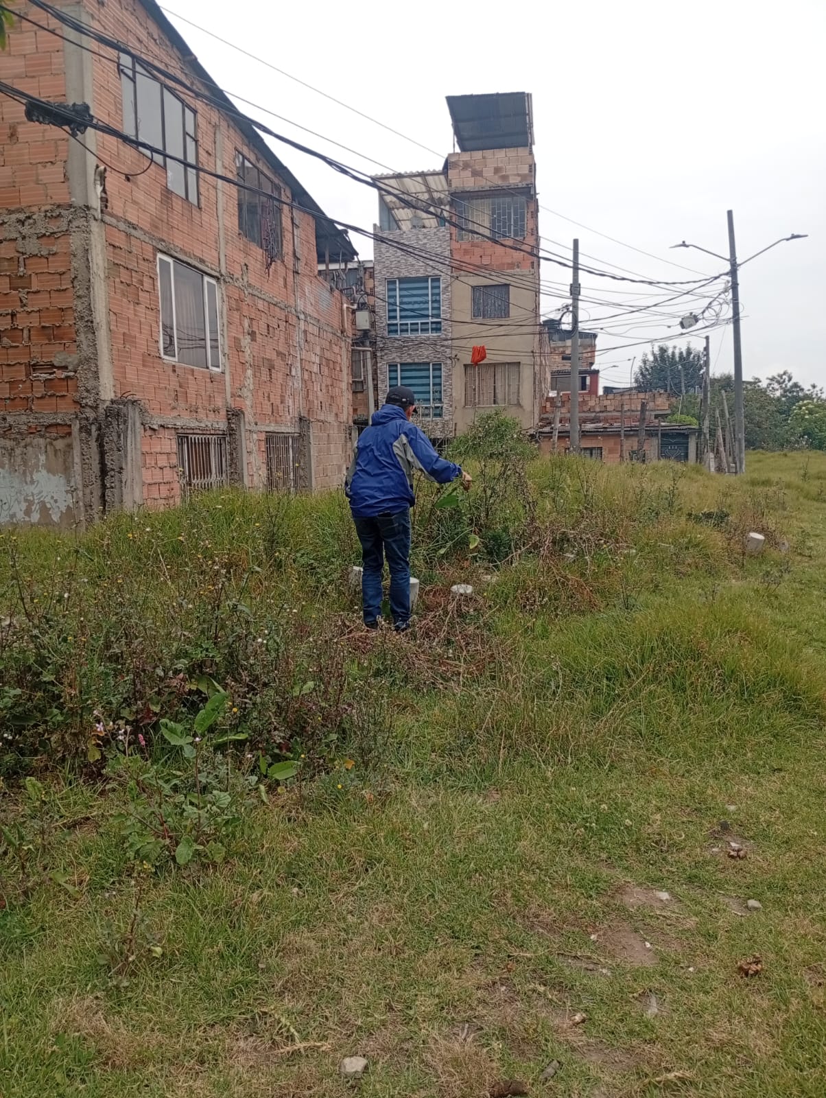 Más que un proceso de formación, esta estrategia, desarrollada junto al Jardín Botánico en el marco de Tejiendo el Territorio, busca fortalecer las capacidades de quienes habitan la ribera para comprender el espacio que ocupan, reconocer su papel como actores de la cuenca y afrontar los retos de la crisis climática. Entender qué es una cuenca hidrográfica, cómo el cambio climático transforma las dinámicas locales y cómo las pequeñas acciones —como la creación de jardines para polinizadores— contribuyen a la restauración ecológica se convierte en una herramienta clave para apropiarse del territorio y asumir un rol activo en su cuidado. El proceso se encuentra en una etapa de diagnóstico, durante la cual, mediante un mapeo comunitario (cartografía social), la comunidad plasmó, a partir de su propia experiencia, las realidades socioambientales del sector. Más allá de identificar problemáticas, este espacio permitió comprender cómo estas afectan la calidad de vida en la cuenca baja del río Fucha y evidenciar los desafíos y las oportunidades para su recuperación. Entre los principales hallazgos, la comunidad reconoció un déficit de espacios verdes, con solo un parque y la ronda del río como los únicos escenarios de contacto con la naturaleza. Asimismo, se identificaron presiones ambientales significativas: • Presencia de un centro de beneficio animal (frigorífico) y de comercialización cárnica que generan olores ofensivos y afectan la calidad del aire. • Zonas de almacenamiento de materiales reciclables y de asentamientos temporales. • Problemáticas asociadas a quemas ilegales y vertimientos en el cauce del río Fucha. • Percepción del incremento de las olas de calor, asociadas a la escasez de cobertura vegetal y de espacios públicos arborizados. El diagnóstico también permitió evidenciar la escasa participación comunitaria en los escenarios de toma de decisiones. No obstante, esta realidad comienza a transformarse gracias al liderazgo de las JAC de los tres barrios, que consolidan procesos participativos orientados a la recuperación ambiental y a la construcción de un territorio resiliente. De la ronda del río a los jardines de polinizadores Lejos de ser solo un inventario de problemáticas, el diagnóstico reconoció el enorme potencial ecológico de la ribera. La ronda del río Fucha representa una oportunidad para impulsar procesos de restauración, reverdecer el espacio público y consolidar corredores de biodiversidad urbana. Luego, se realizó un recorrido por la ronda del río para reconocer de primera mano las especies vegetales presentes. Se identificó la predominancia de pasto kikuyo y acacias en algunos tramos, así como de plantas como la malva, el tabaco y diversas especies florales que aún persisten. Cada observación confirmó que, a pesar de las presiones, existen elementos naturales capaces de sostener la recuperación de este espacio con potencial ambiental. Este ejercicio despertó una nueva mirada sobre la ribera: lo que antes era solo un lugar de paso se proyecta ahora como un escenario idóneo para el establecimiento de jardines para polinizadores. Estos refugios funcionarán como pequeñas islas de biodiversidad que ofrecerán alimento y hábitat a mariposas, abejas, abejorros y colibríes, fortaleciendo la conectividad ecológica en la cuenca. Un ecosistema vivo que conecta vidas Comprender el territorio es el primer paso para transformarlo. Cada mapa construido colectivamente, cada conversación sobre el cambio climático y cada propuesta para sembrar flora nativa fortalecen el tejido social y ambiental de estos barrios ribereños. Hoy la comunidad entiende que el río Fucha no es únicamente un cuerpo de agua que atraviesa la ciudad, sino un ecosistema vivo que conecta personas, biodiversidad e historias. Recuperarlo significa sanar la relación de los habitantes con su entorno y construir soluciones colectivas ante la crisis ambiental. El río Fucha sigue vivo. En sus orillas aún encuentran refugio aves, insectos y plantas que resisten el avance urbano. Y ahora, gracias al compromiso de las comunidades de Villa Liliana, Andalucía y El Vergel, junto con el Jardín Botánico, el río encuentra aliados dispuestos a recuperar su memoria ecológica y a demostrar que cuidar una cuenca es cuidar el hogar que compartimos.