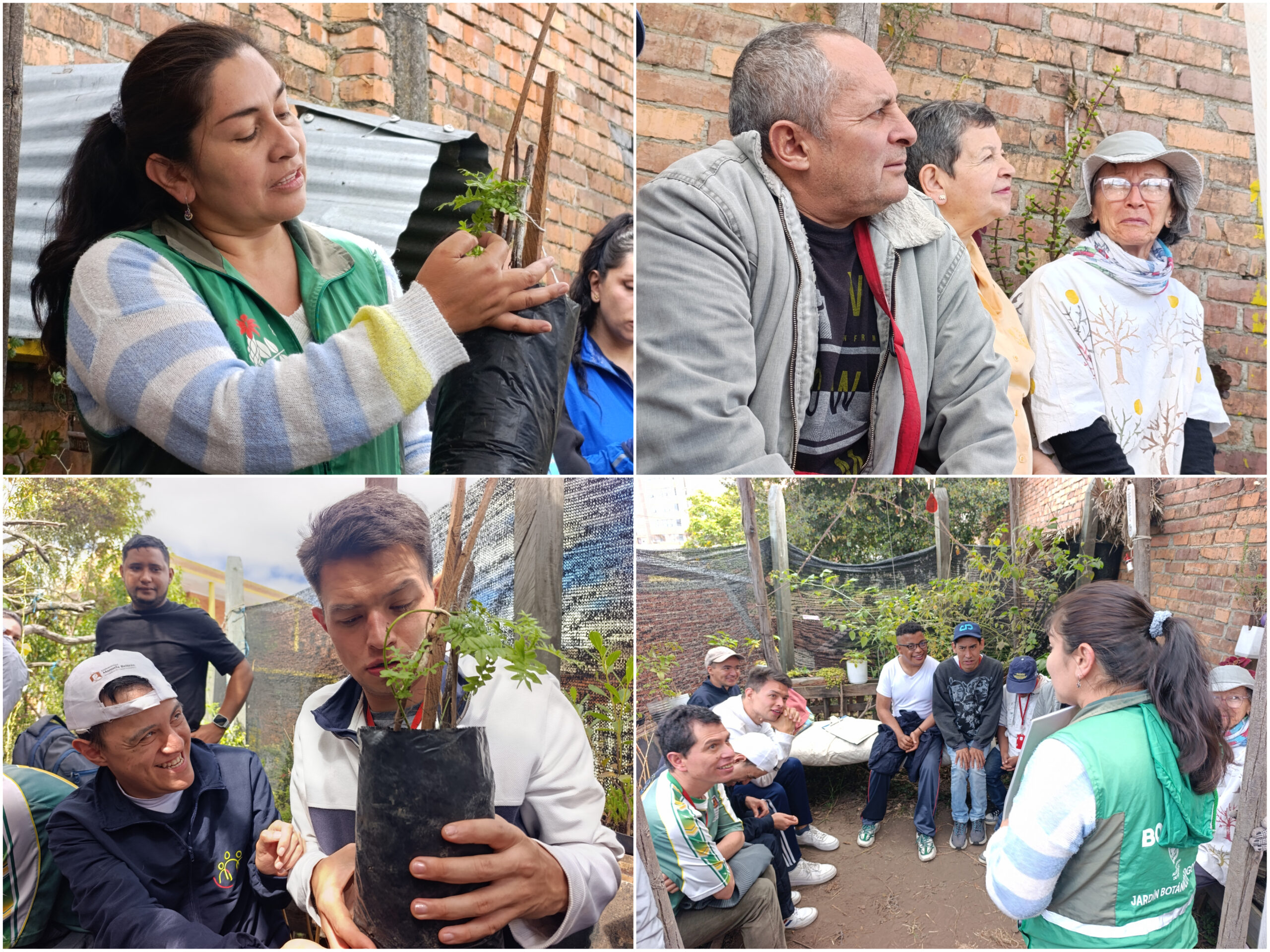 Historias del verde urbano: ¡Así fue la toma de la Mutisia en los bosques urbanos de Bogotá! Historias del verde urbano: ¡Así fue la toma de la Mutisia en los bosques urbanos de Bogotá!