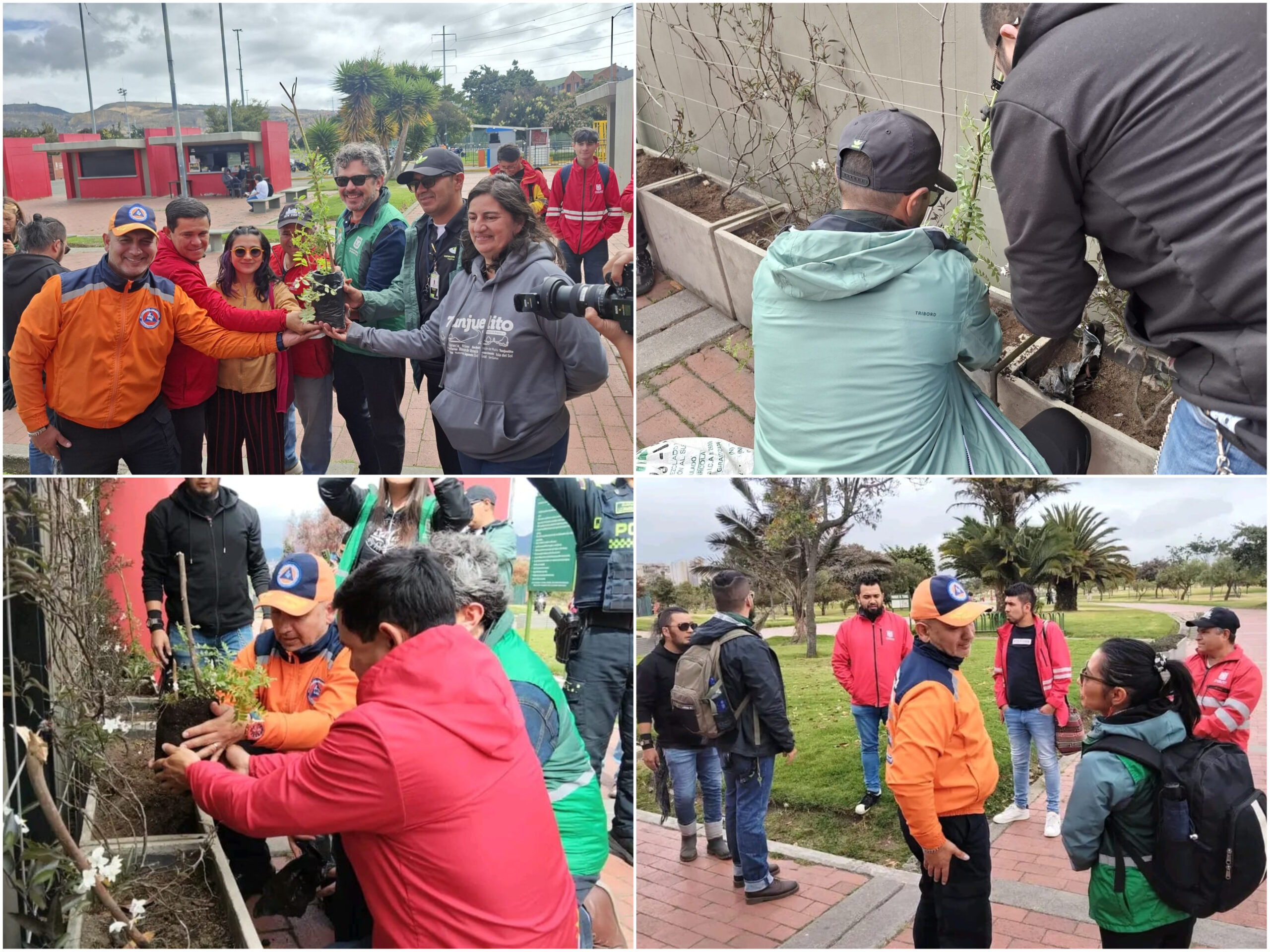 Historias del verde urbano: ¡Así fue la toma de la Mutisia en los bosques urbanos de Bogotá! Historias del verde urbano: ¡Así fue la toma de la Mutisia en los bosques urbanos de Bogotá!