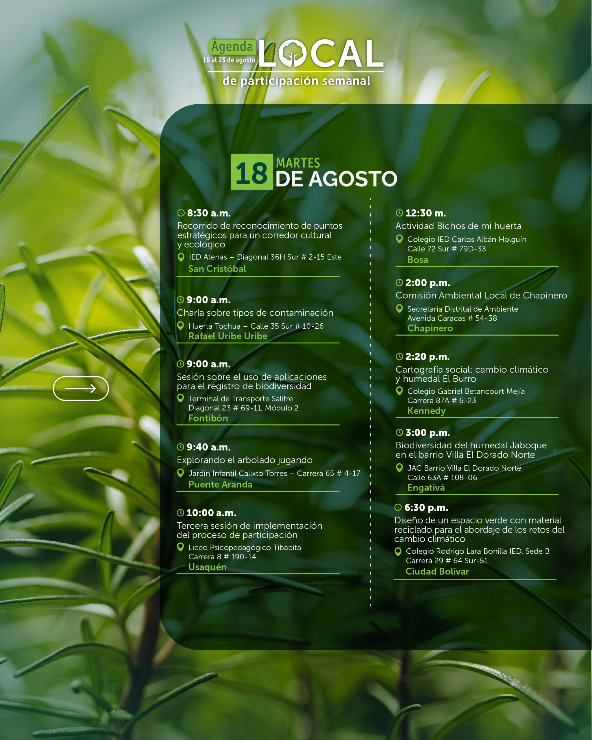 18 al 23 de agosto-02