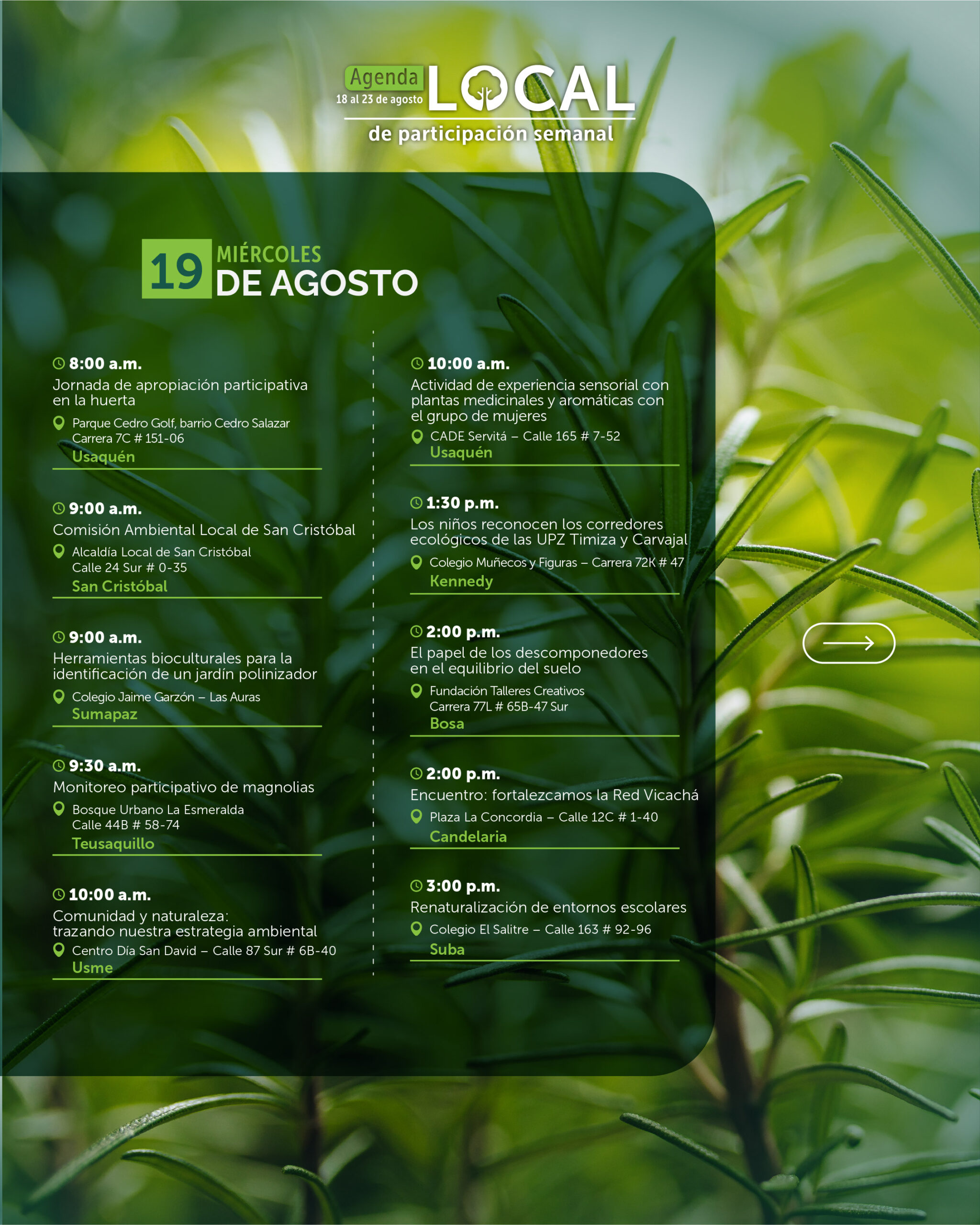 18 al 23 de agosto-03