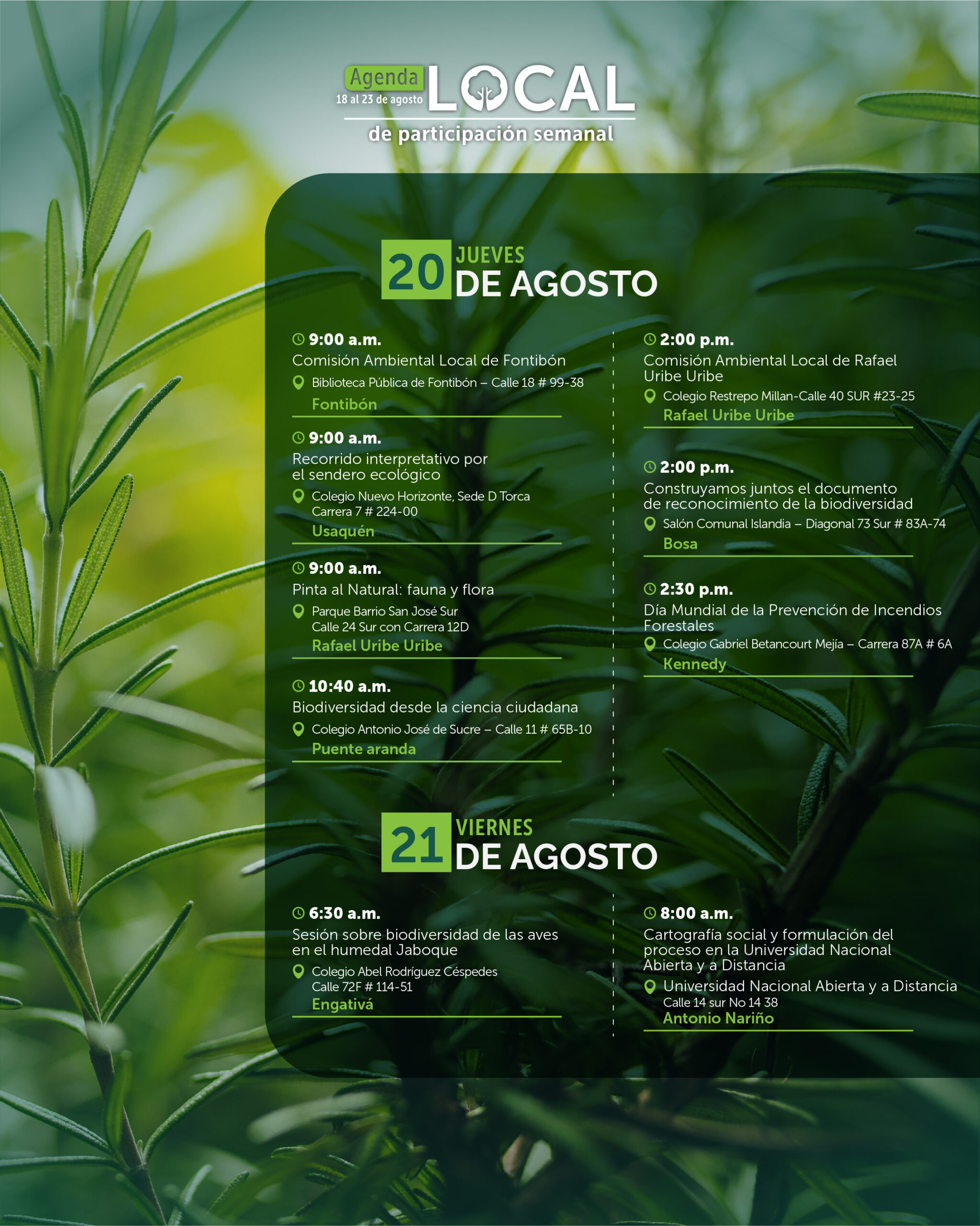 18 al 23 de agosto-04