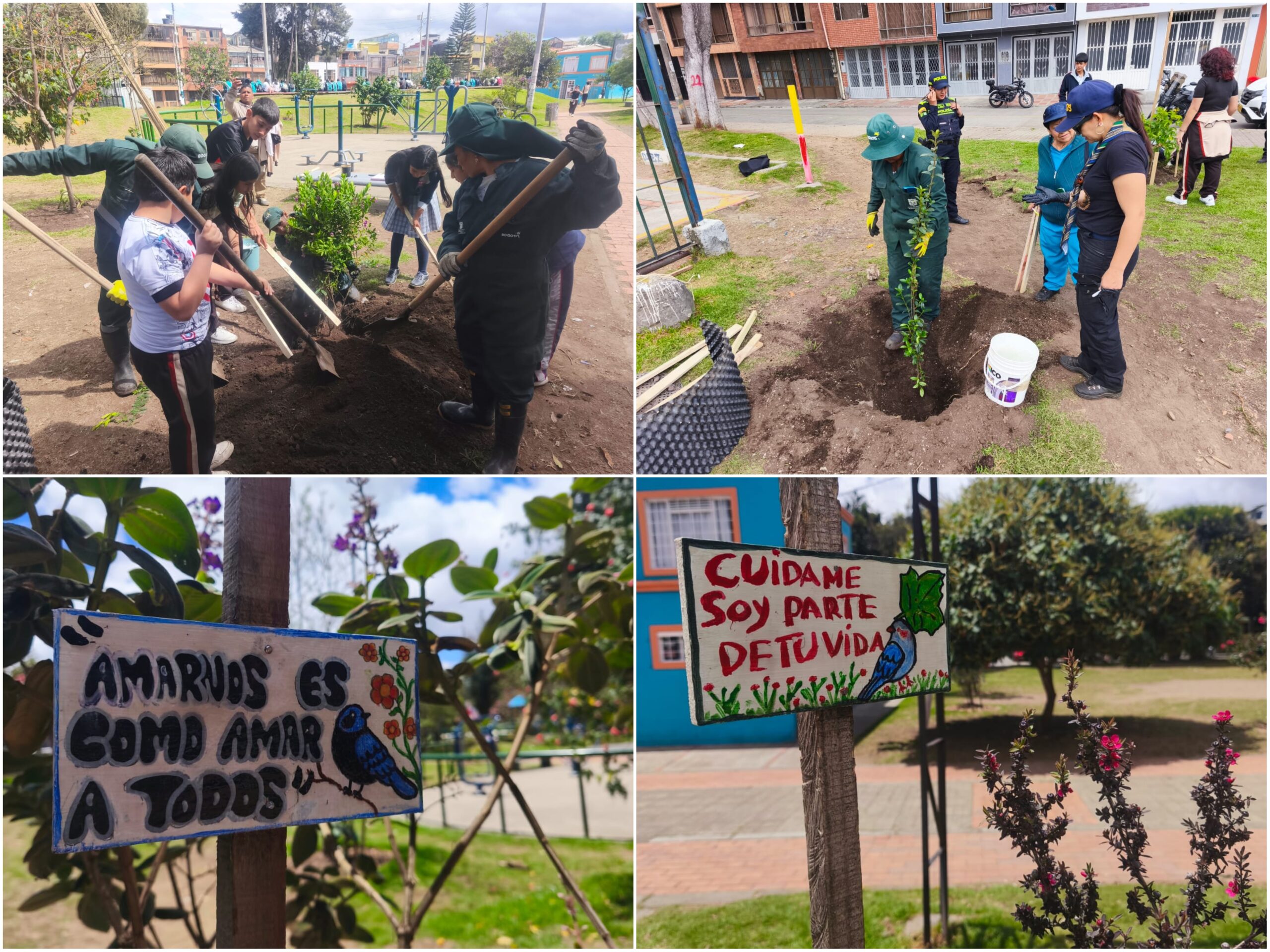 Historias del verde urbano: ¡Acciones sociales para que Bogotá conserve su verde! Historias del verde urbano: ¡Acciones sociales para que Bogotá conserve su verde!