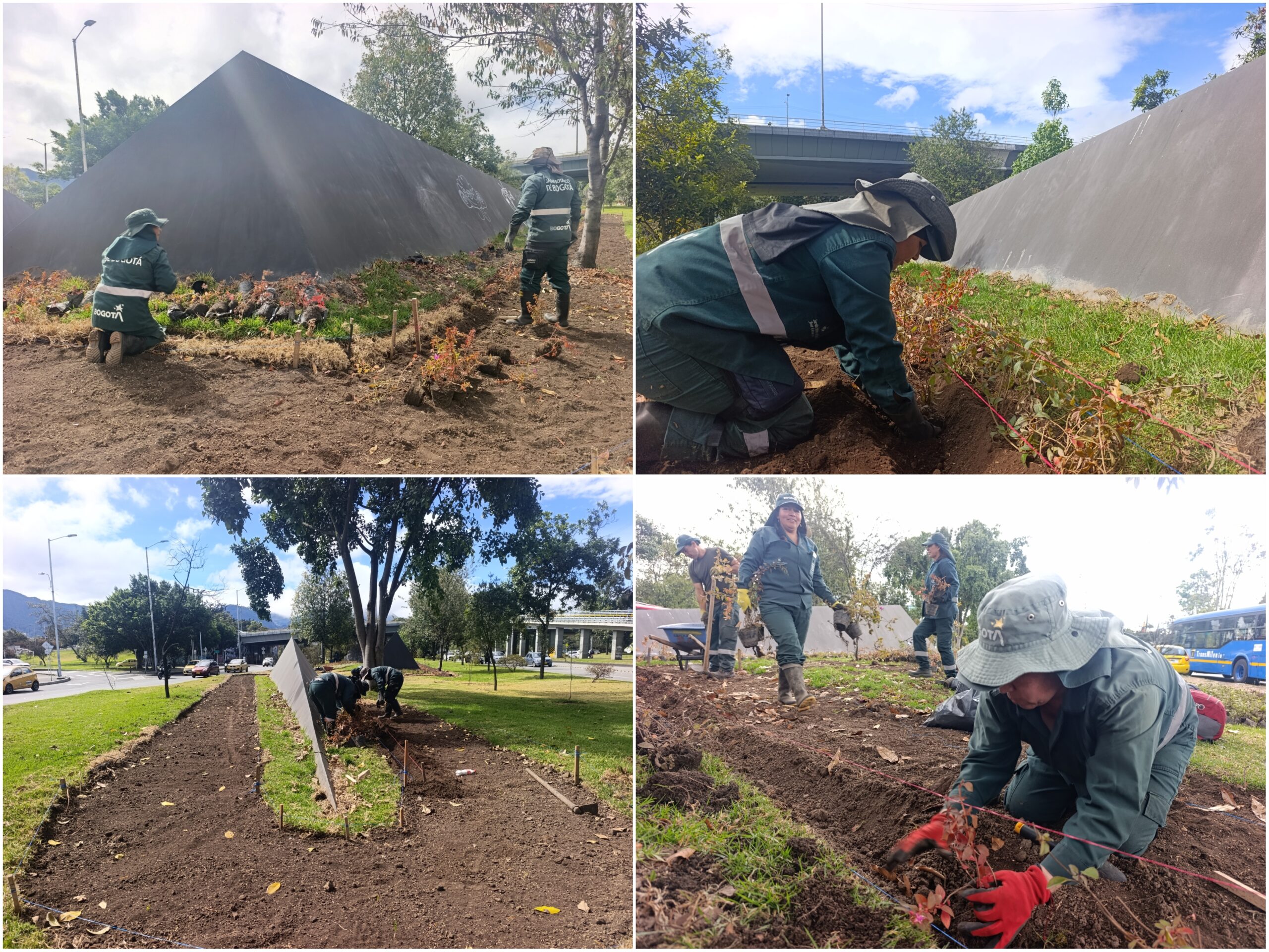 Historias del verde urbano: ¡El nuevo río floral que fluye por la calle 26!