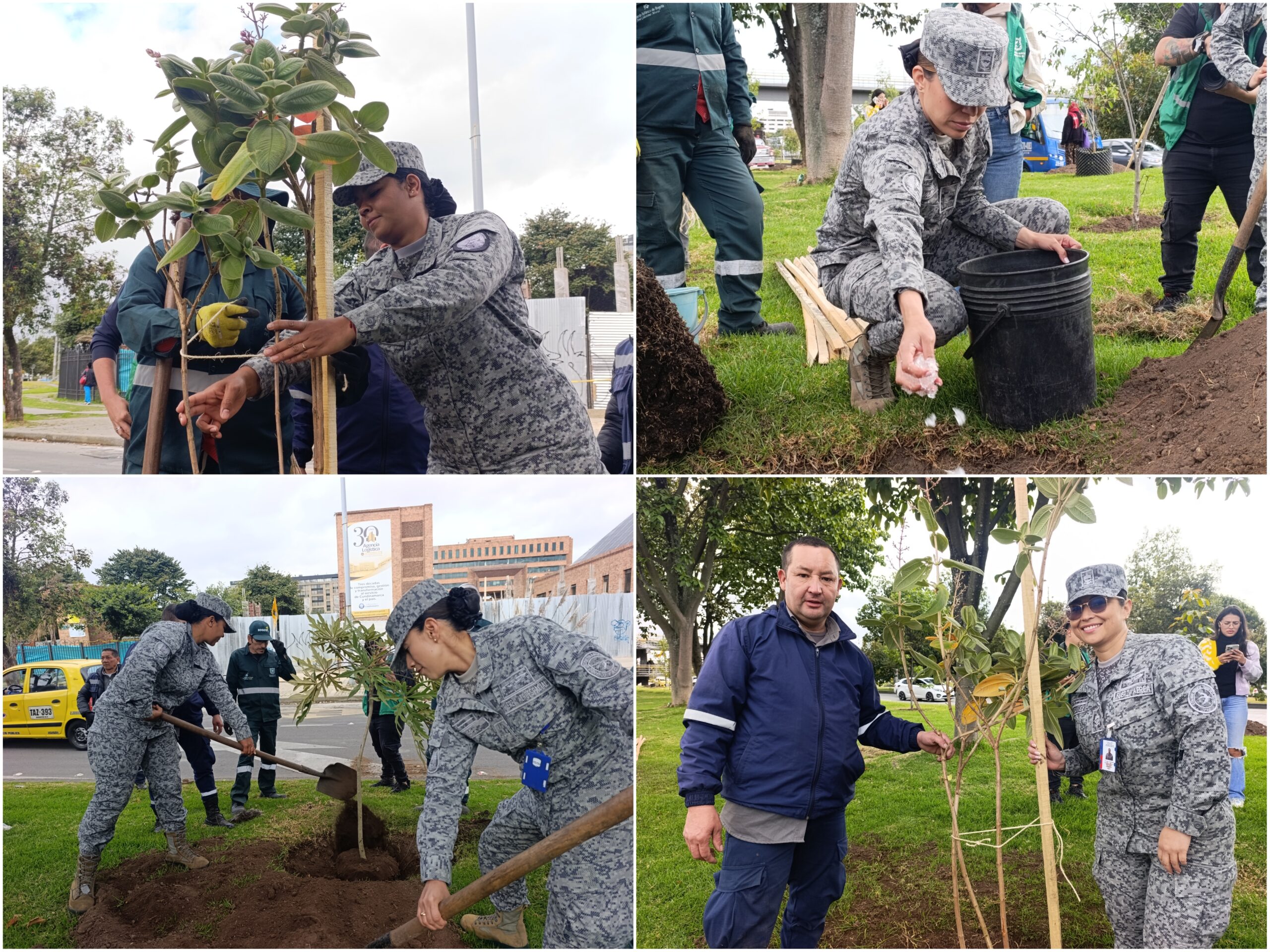 Historias del verde urbano: ¡La fiesta verde que celebró los 71 años del Jardín Botánico de Bogotá!