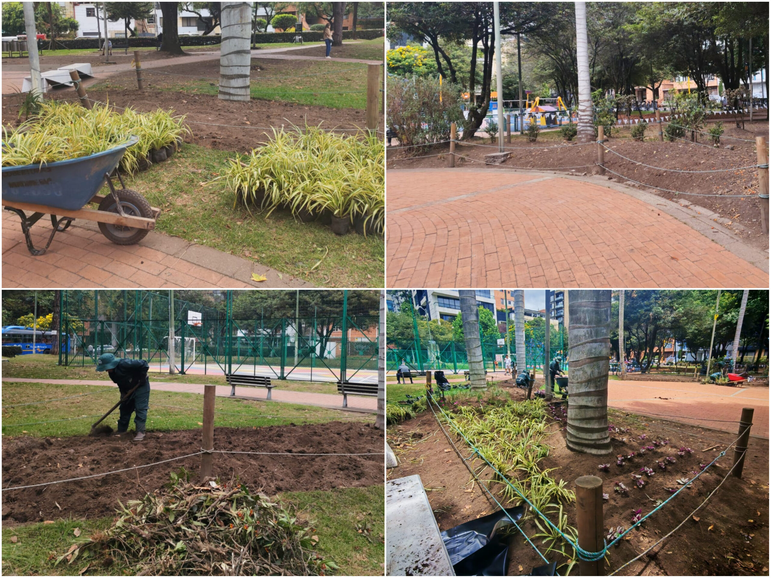Historias del verde urbano: Las jardineras del parque El Nogal vuelven a florecer Historias del verde urbano: Las jardineras del parque El Nogal vuelven a florecer
