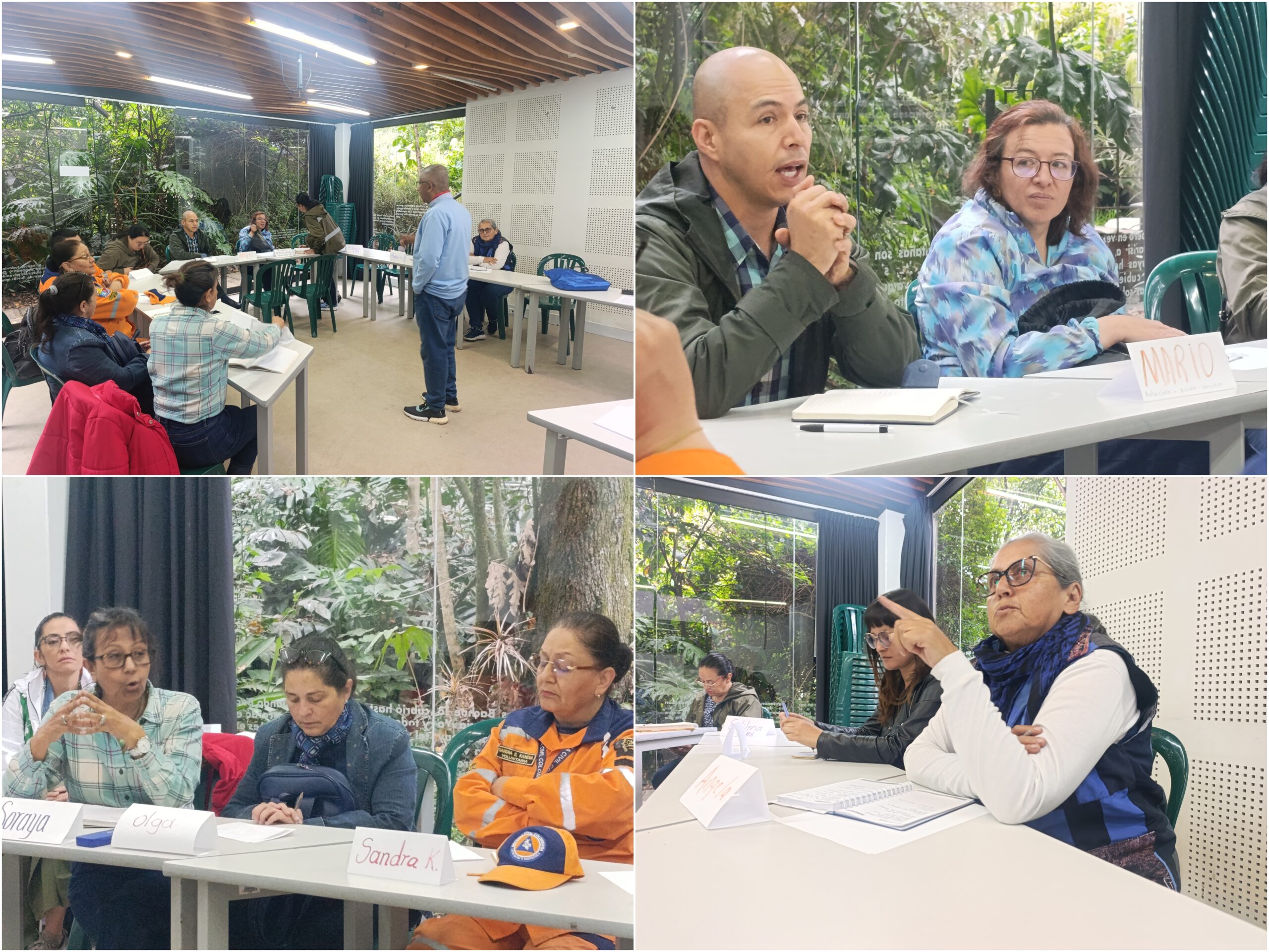 Historias del verde urbano: Taller de liderazgo con los guardianes de los bosques urbanos