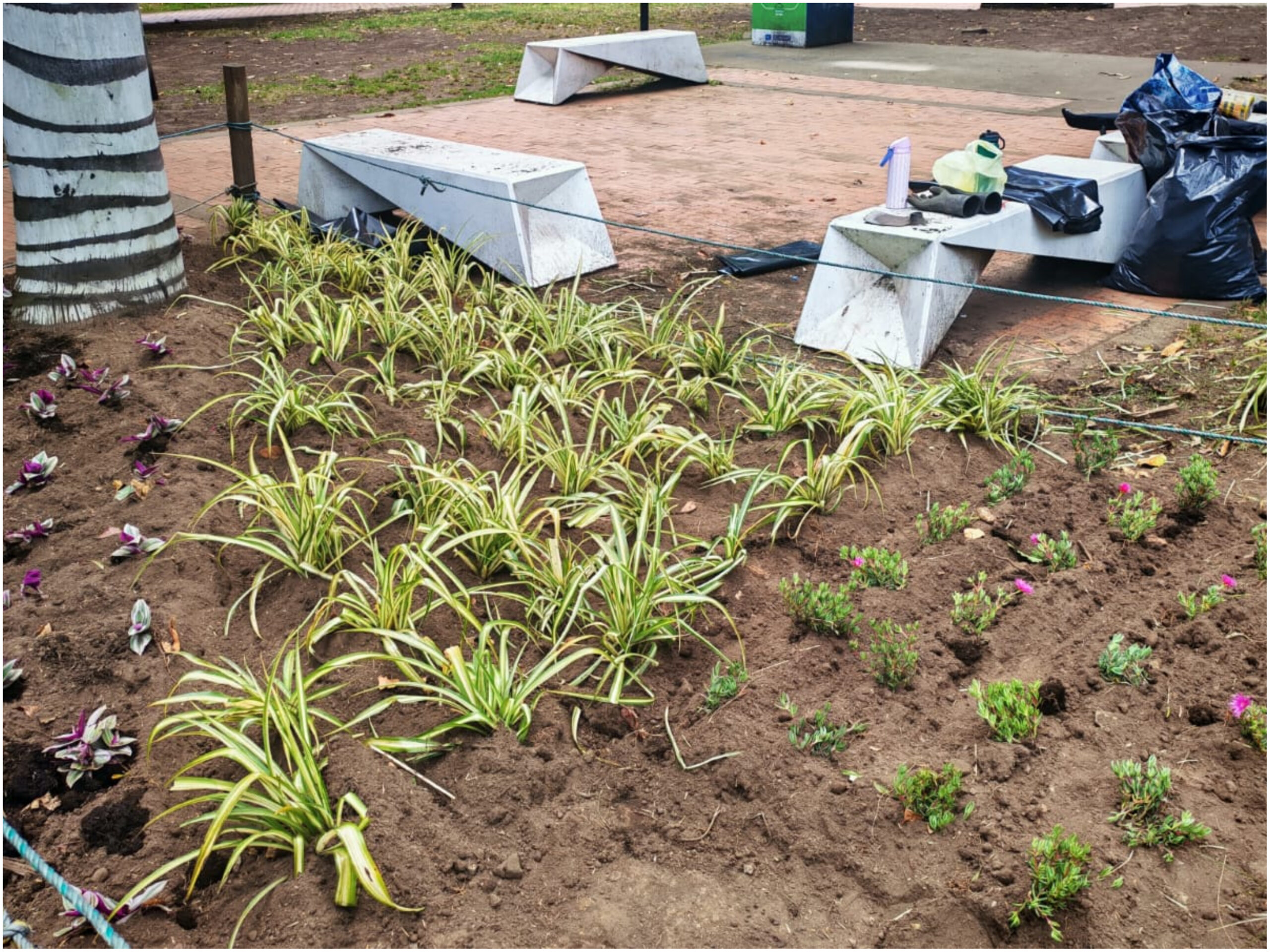 Historias del verde urbano: Las jardineras del parque El Nogal vuelven a florecer Historias del verde urbano: Las jardineras del parque El Nogal vuelven a florecer