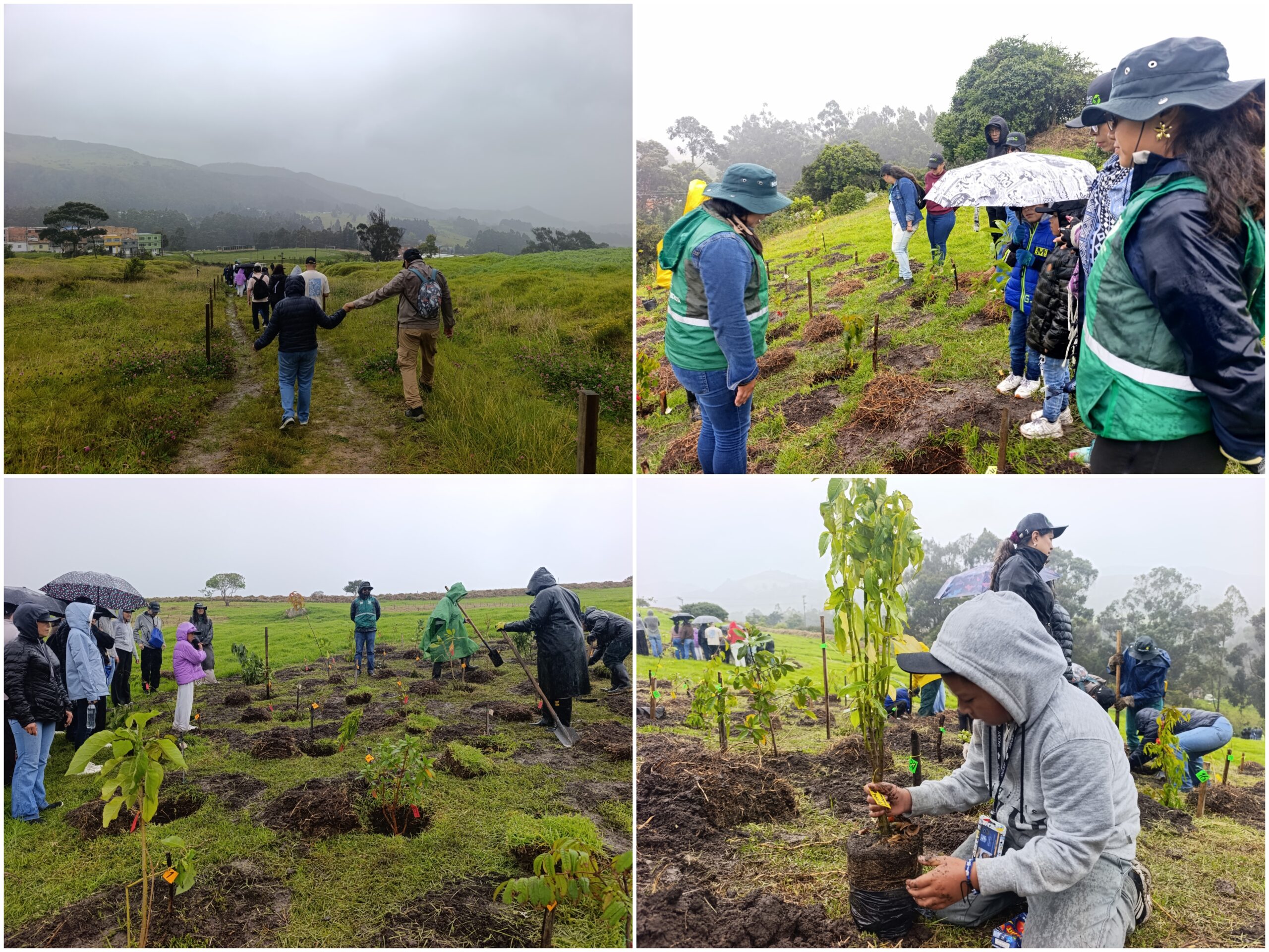 Historias del verde urbano: Jornada de restauración ecológica en la única área arqueológica protegida de Bogotá