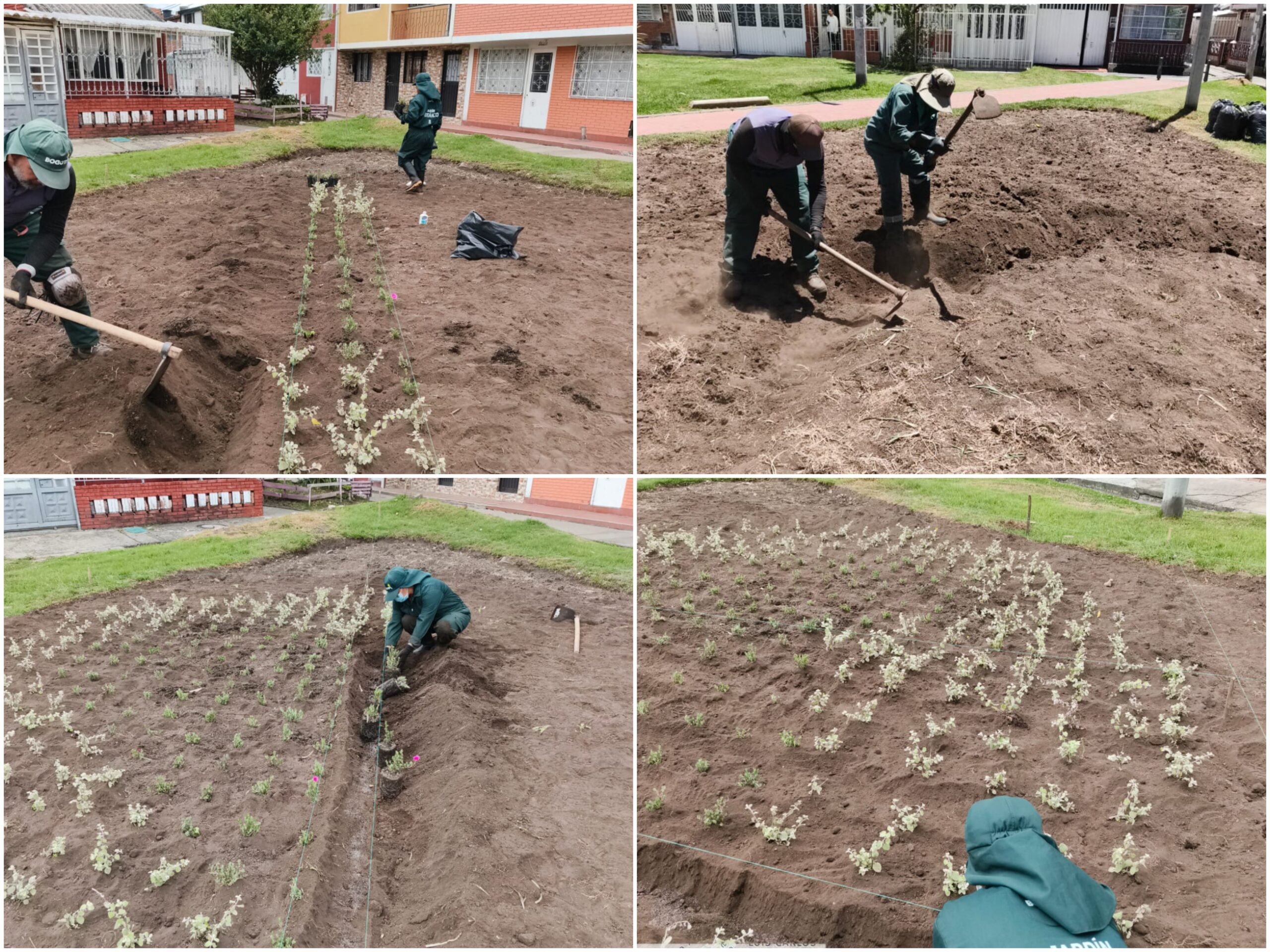Historias del verde urbano: ¡El corazón jardinero del Quirigua vuelve a latir!