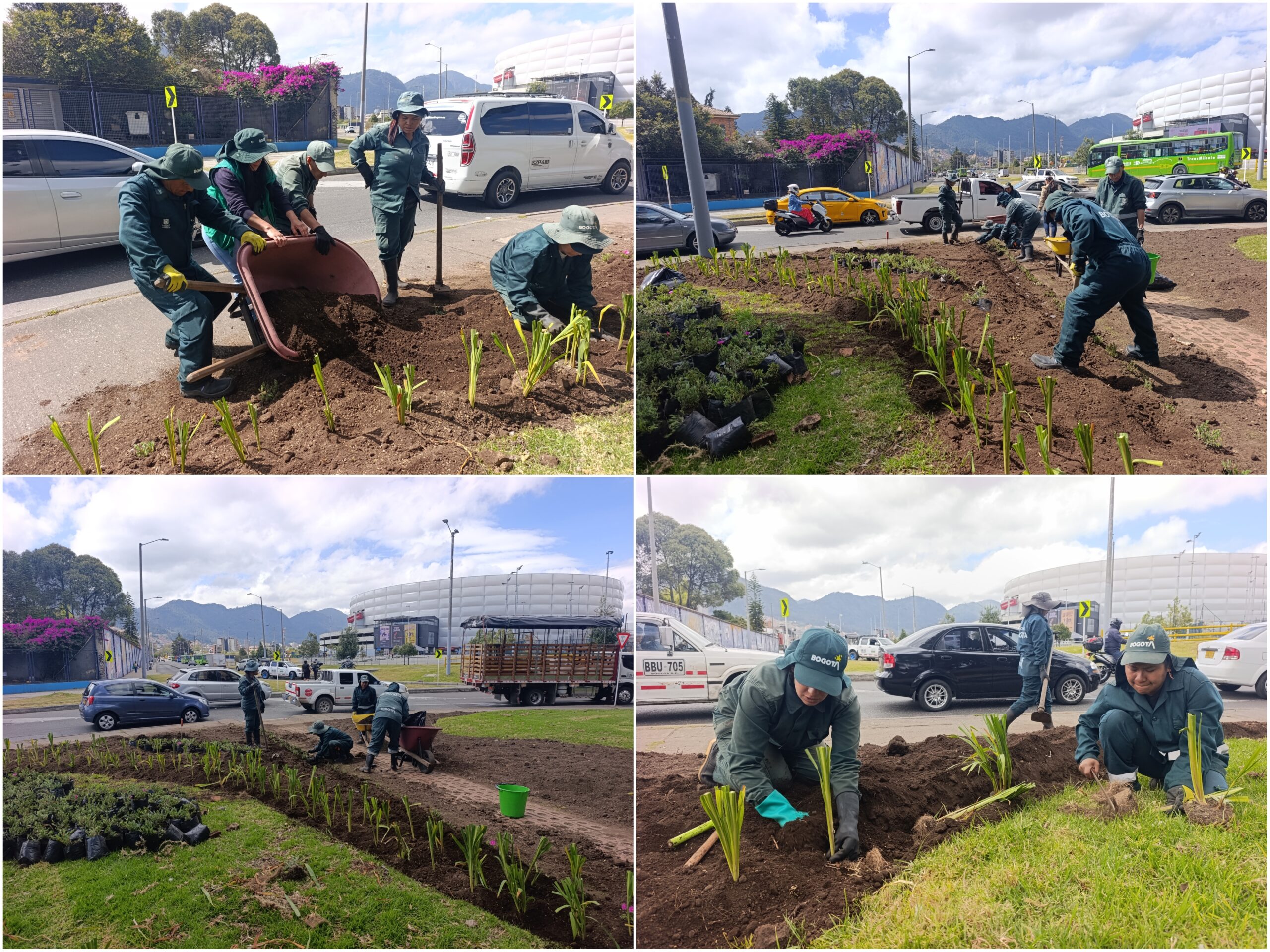 Historias del verde urbano: ¡Reviven las jardineras de la oreja de la calle 63 con carrera 30!