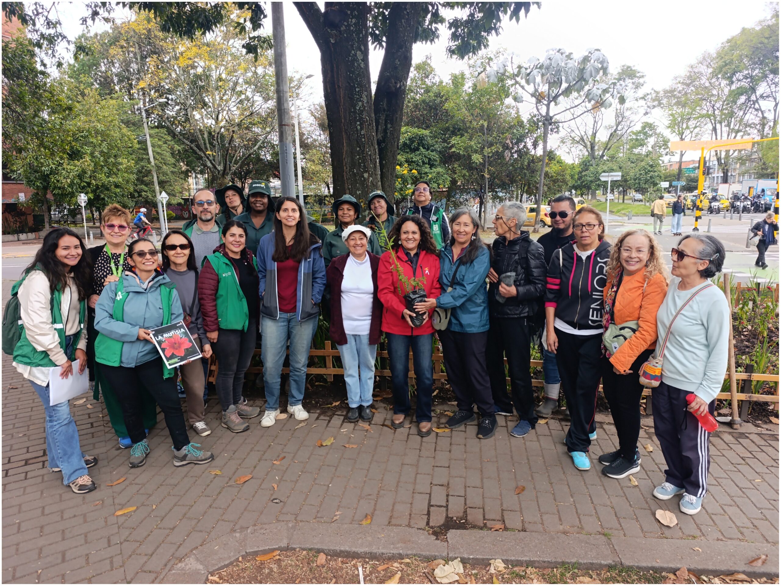Historias del verde urbano: ¡La Mutisia llegó a tres bosques urbanos de Bogotá! Historias del verde urbano: ¡La Mutisia llegó a tres bosques urbanos de Bogotá!
