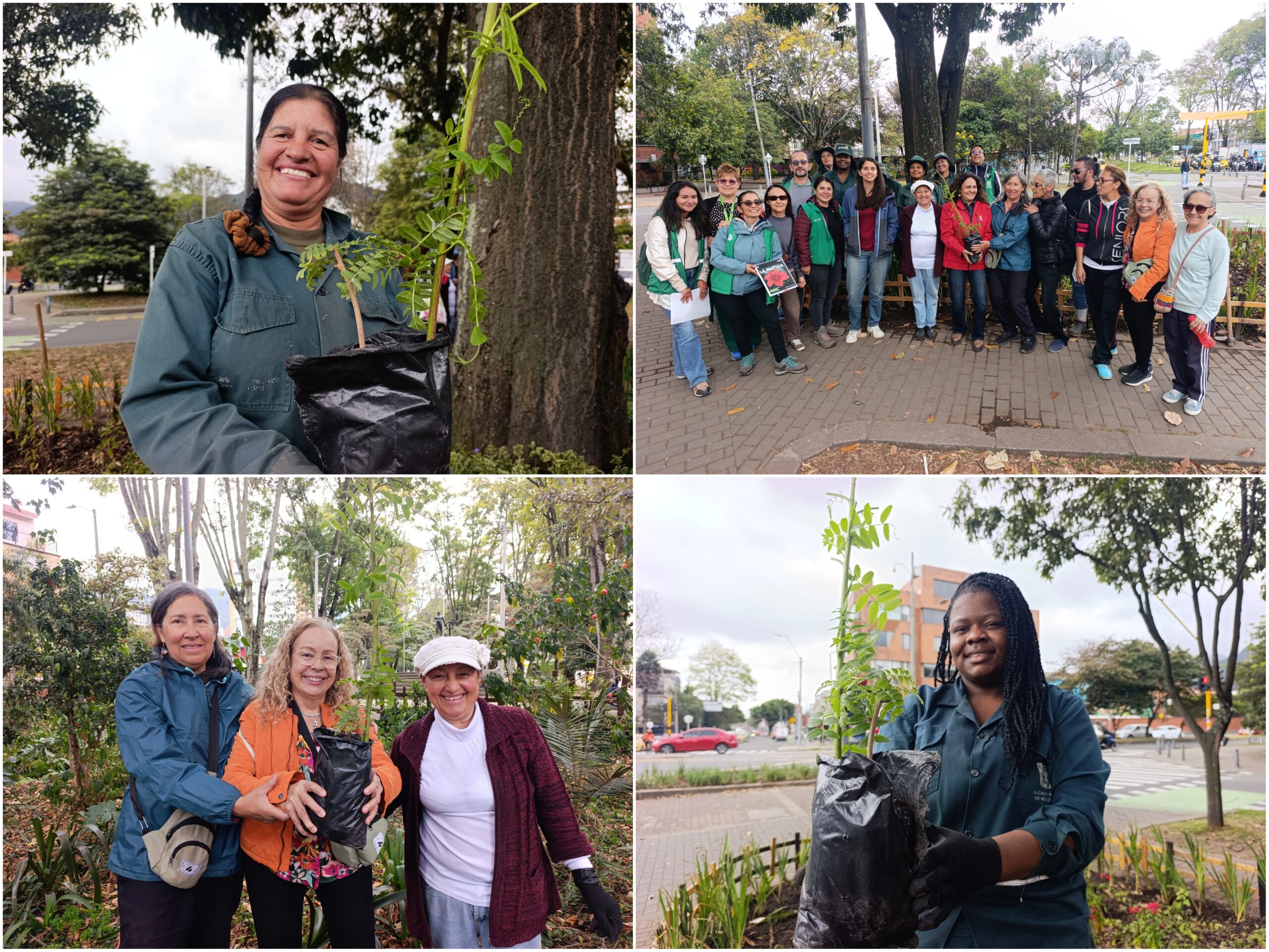 Historias del verde urbano: ¡La fiesta verde que celebró los 71 años del Jardín Botánico de Bogotá!