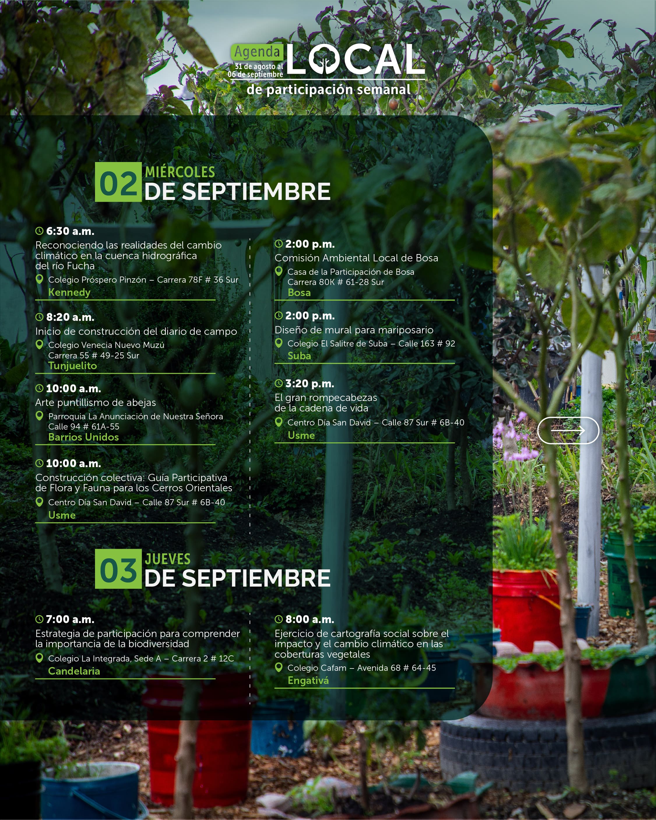 agenda local 31 de agosto al 06 de septiembre-03