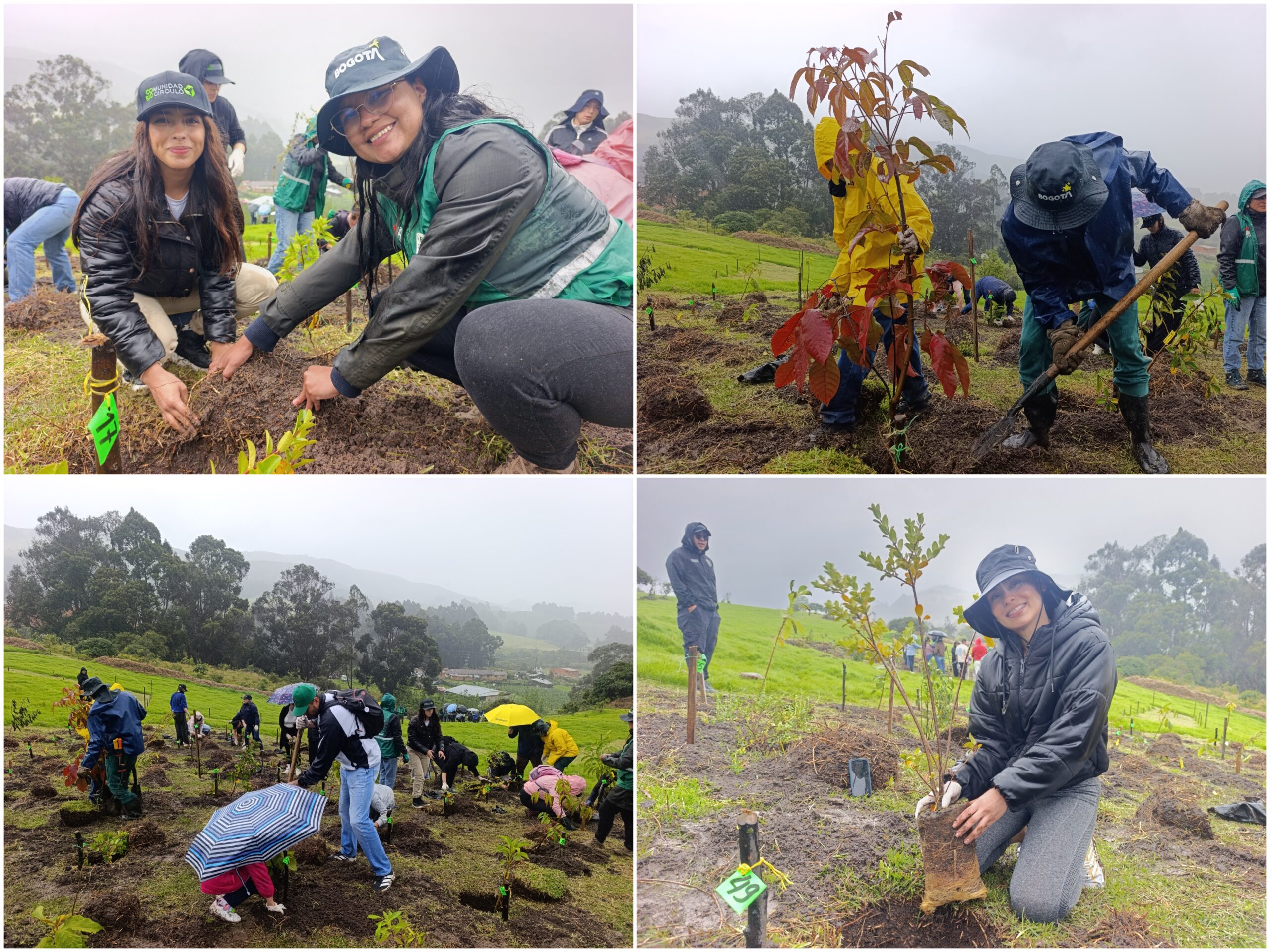 Historias del verde urbano: Jornada de restauración ecológica en la única área arqueológica protegida de Bogotá