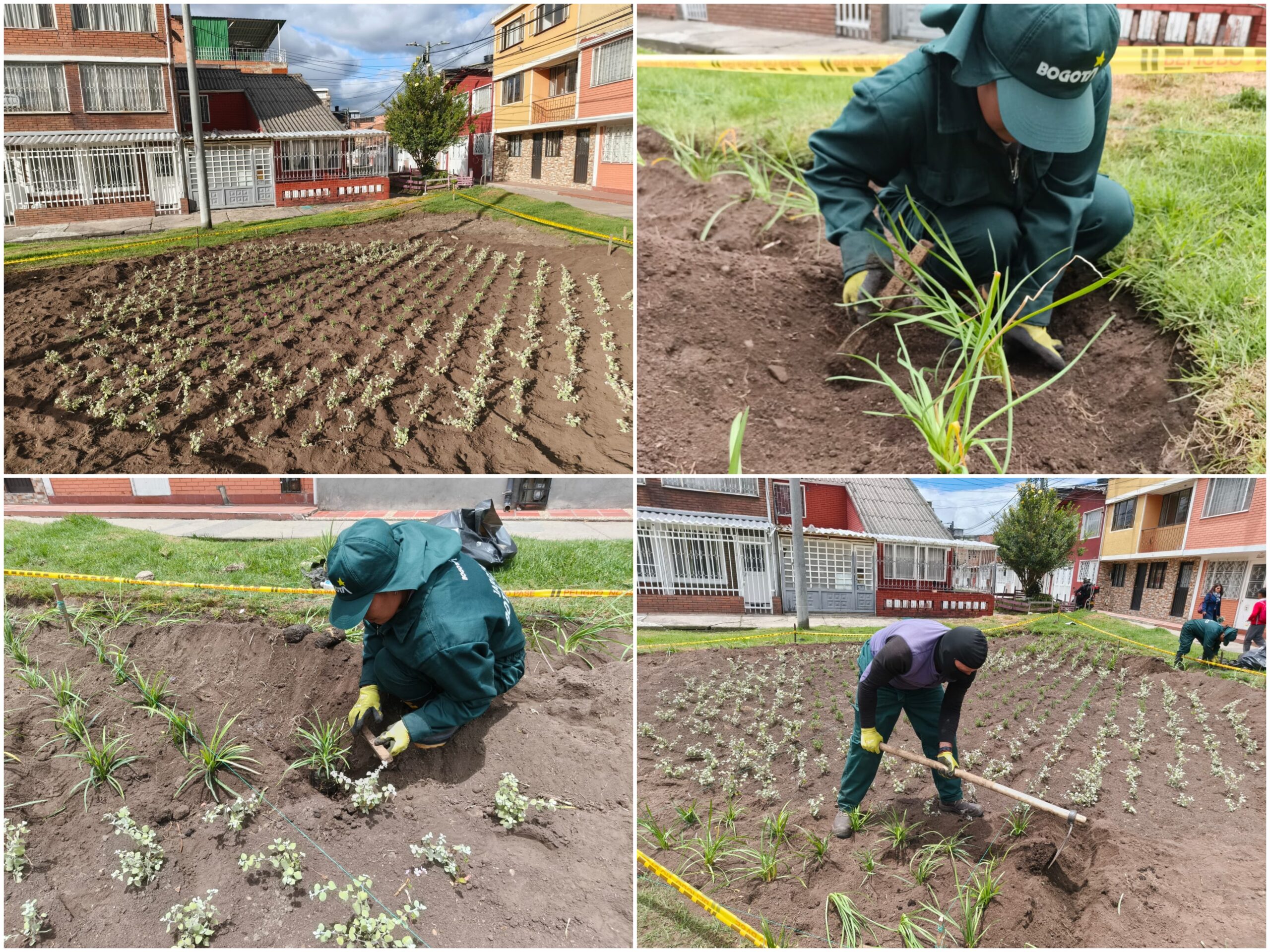 Historias del verde urbano: ¡El corazón jardinero del Quirigua vuelve a latir!