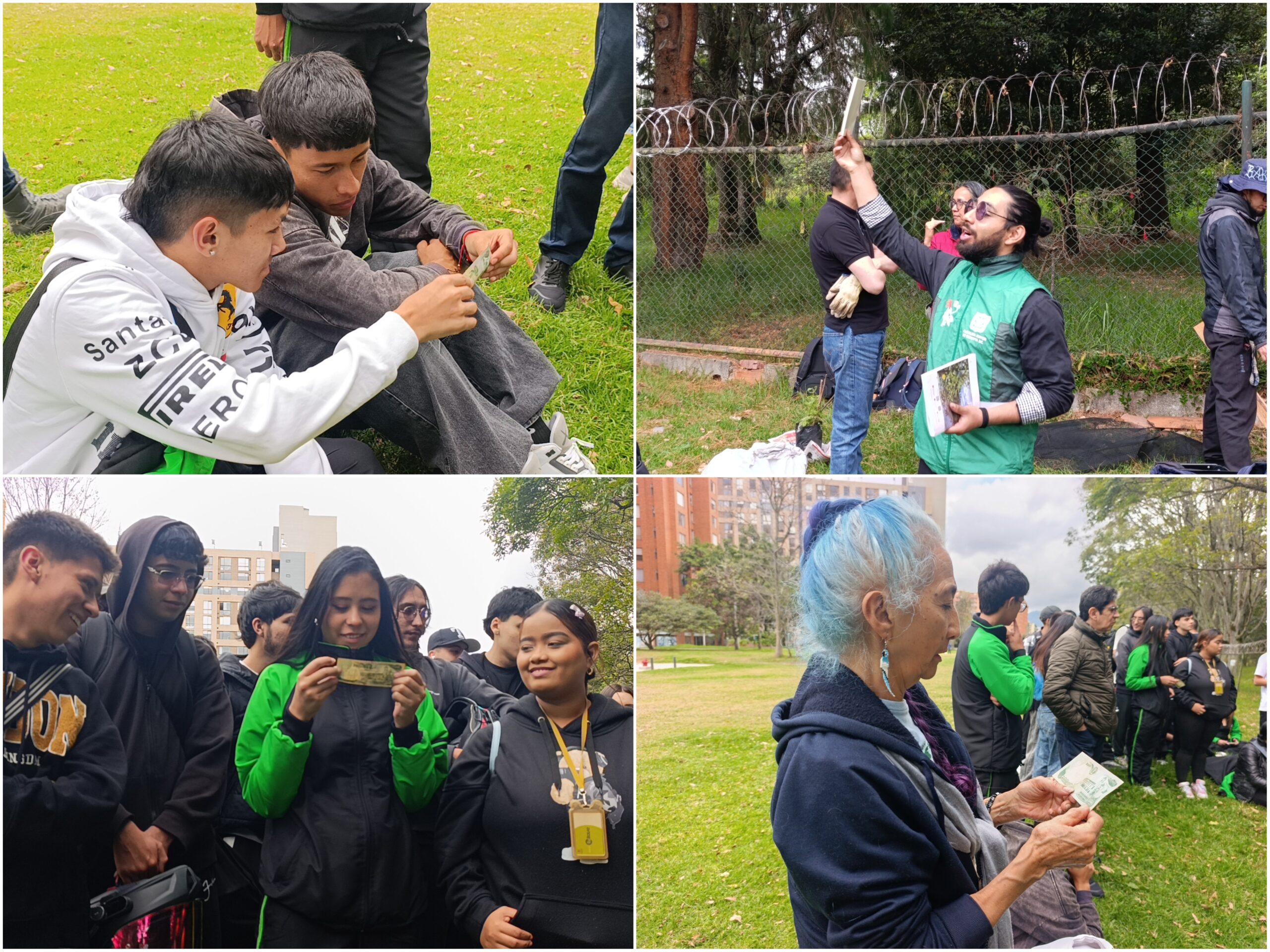 Historias del verde urbano: ¡Brazo Salitre le dio la bienvenida a la Mutisia clematis!