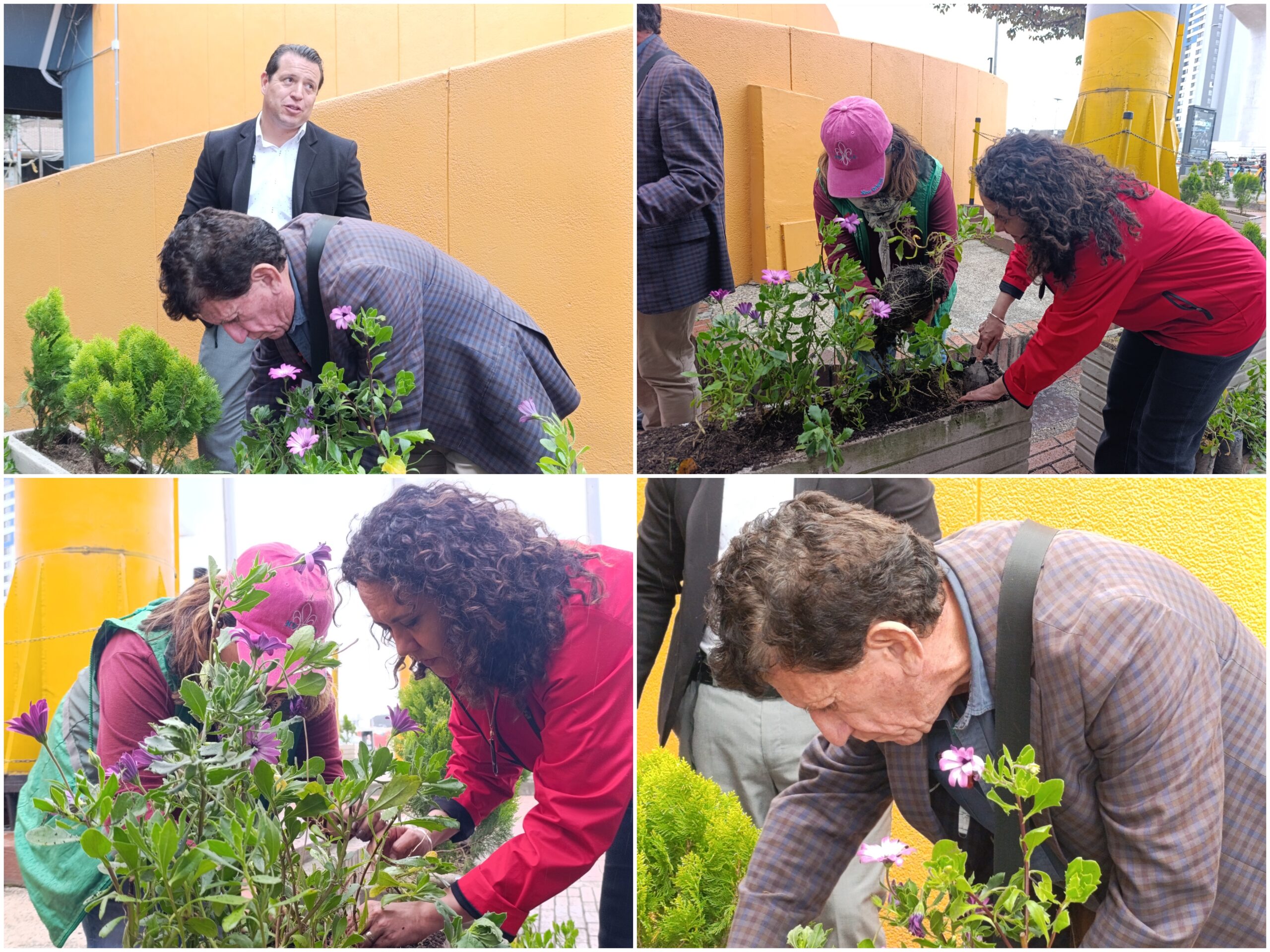 Historias del verde urbano: El primer centro comercial de estilo abierto en Bogotá ayudará a fortalecer las coberturas vegetales Historias del verde urbano: El primer centro comercial de estilo abierto en Bogotá ayudará a fortalecer las coberturas vegetales