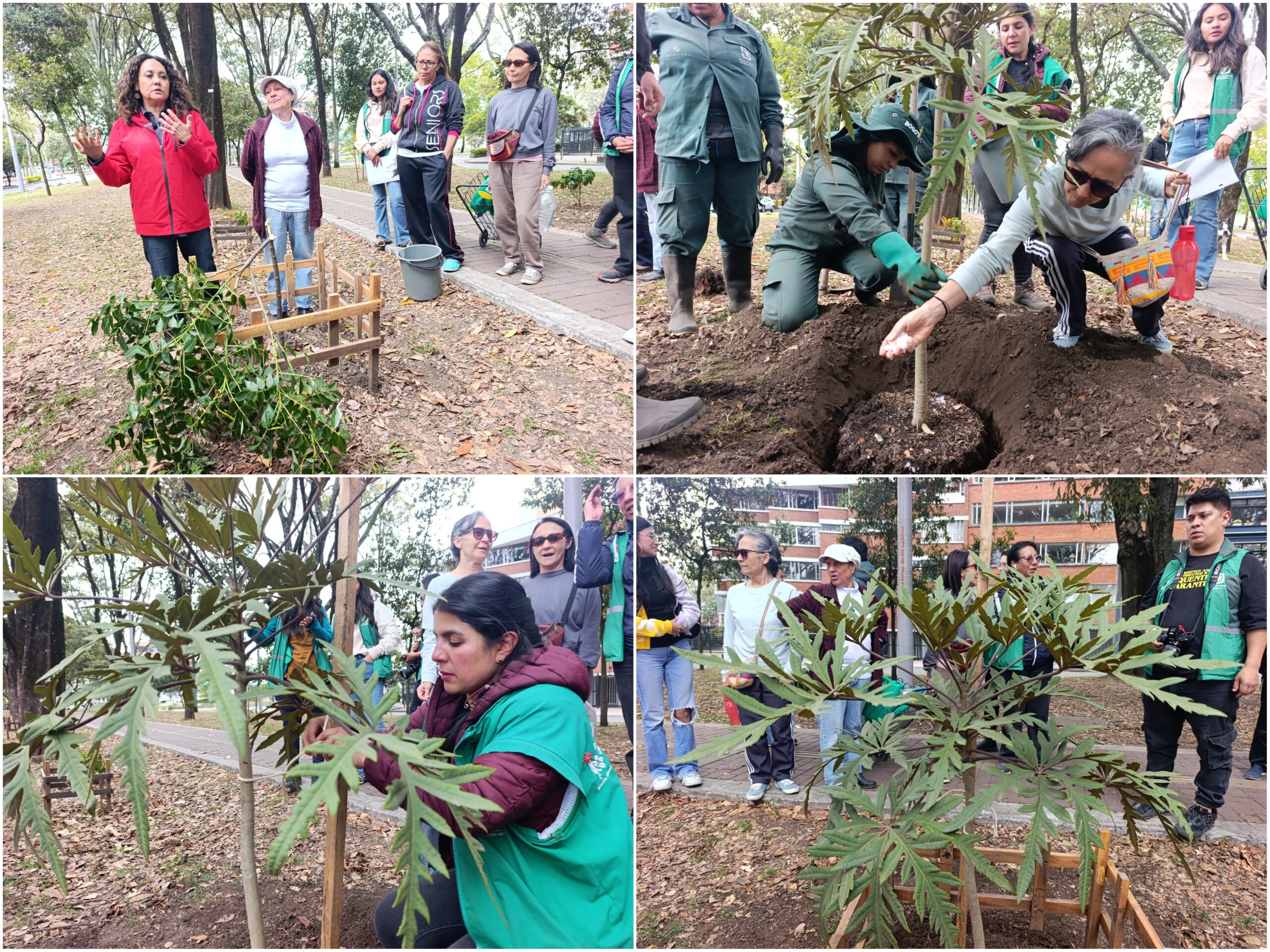 Historias del verde urbano: ¡La fiesta verde que celebró los 71 años del Jardín Botánico de Bogotá!