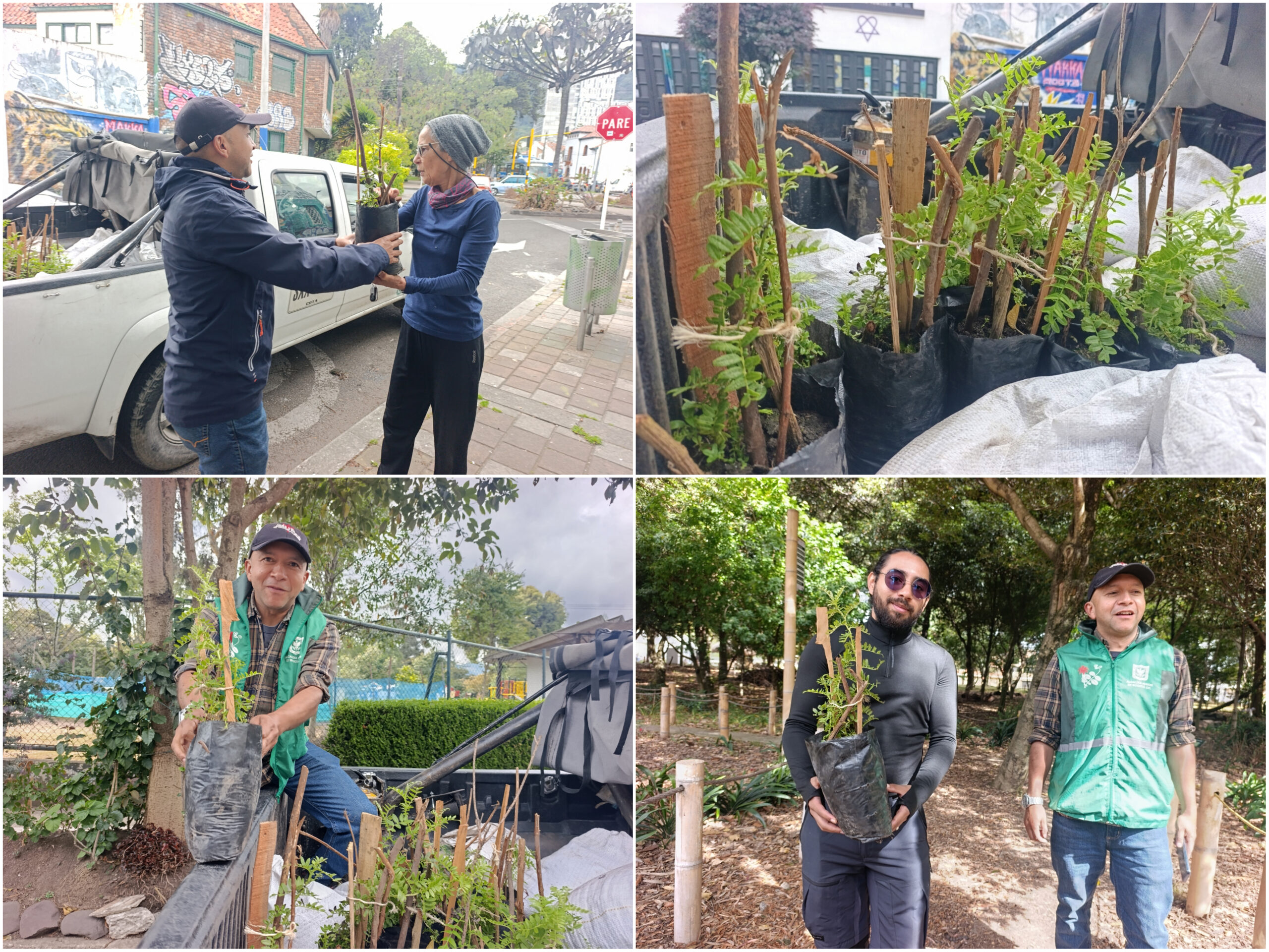 Historias del verde urbano: ¡Así fue la toma de la Mutisia en los bosques urbanos de Bogotá! Historias del verde urbano: ¡Así fue la toma de la Mutisia en los bosques urbanos de Bogotá!