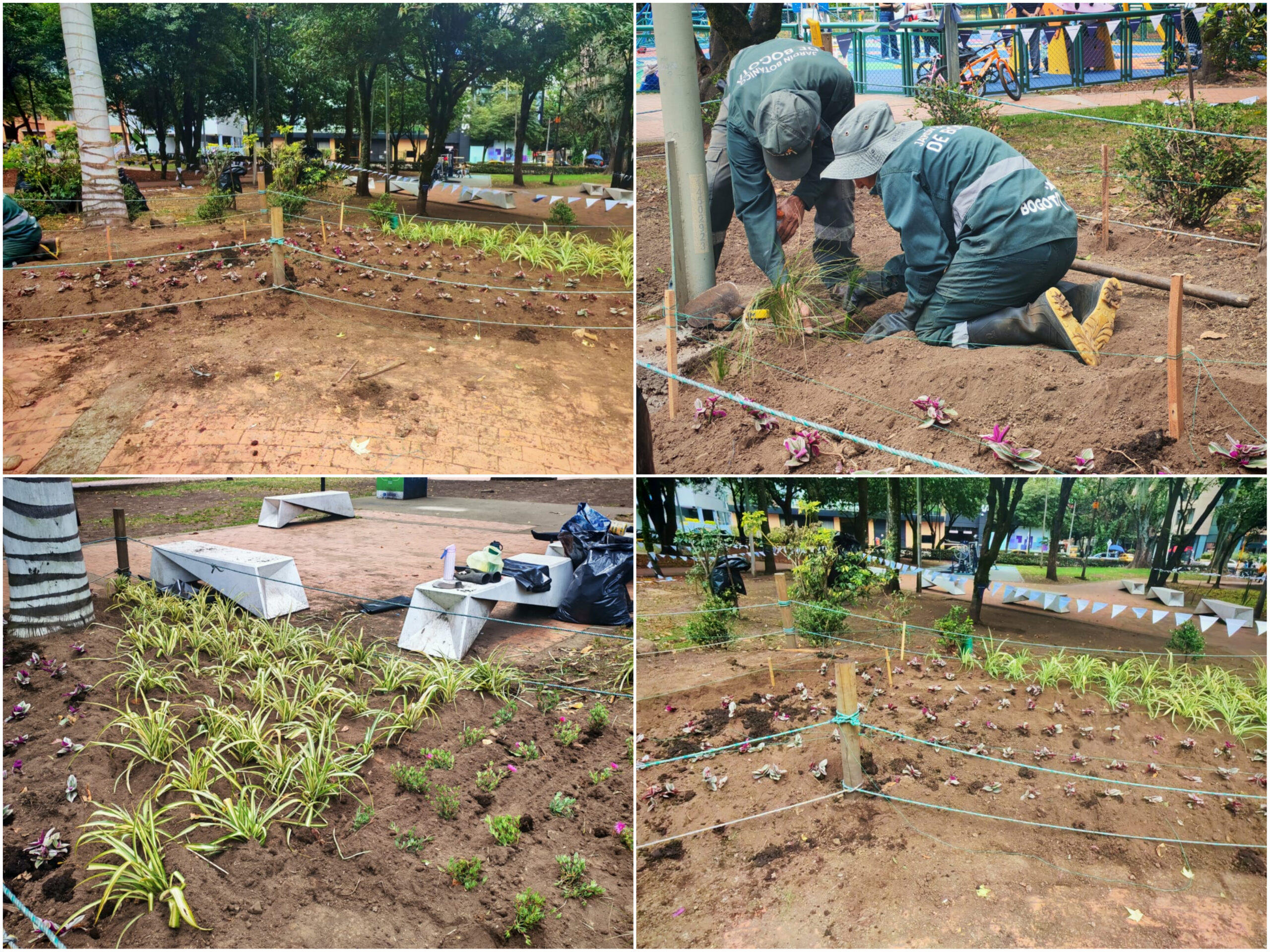 Historias del verde urbano: Las jardineras del parque El Nogal vuelven a florecer Historias del verde urbano: Las jardineras del parque El Nogal vuelven a florecer