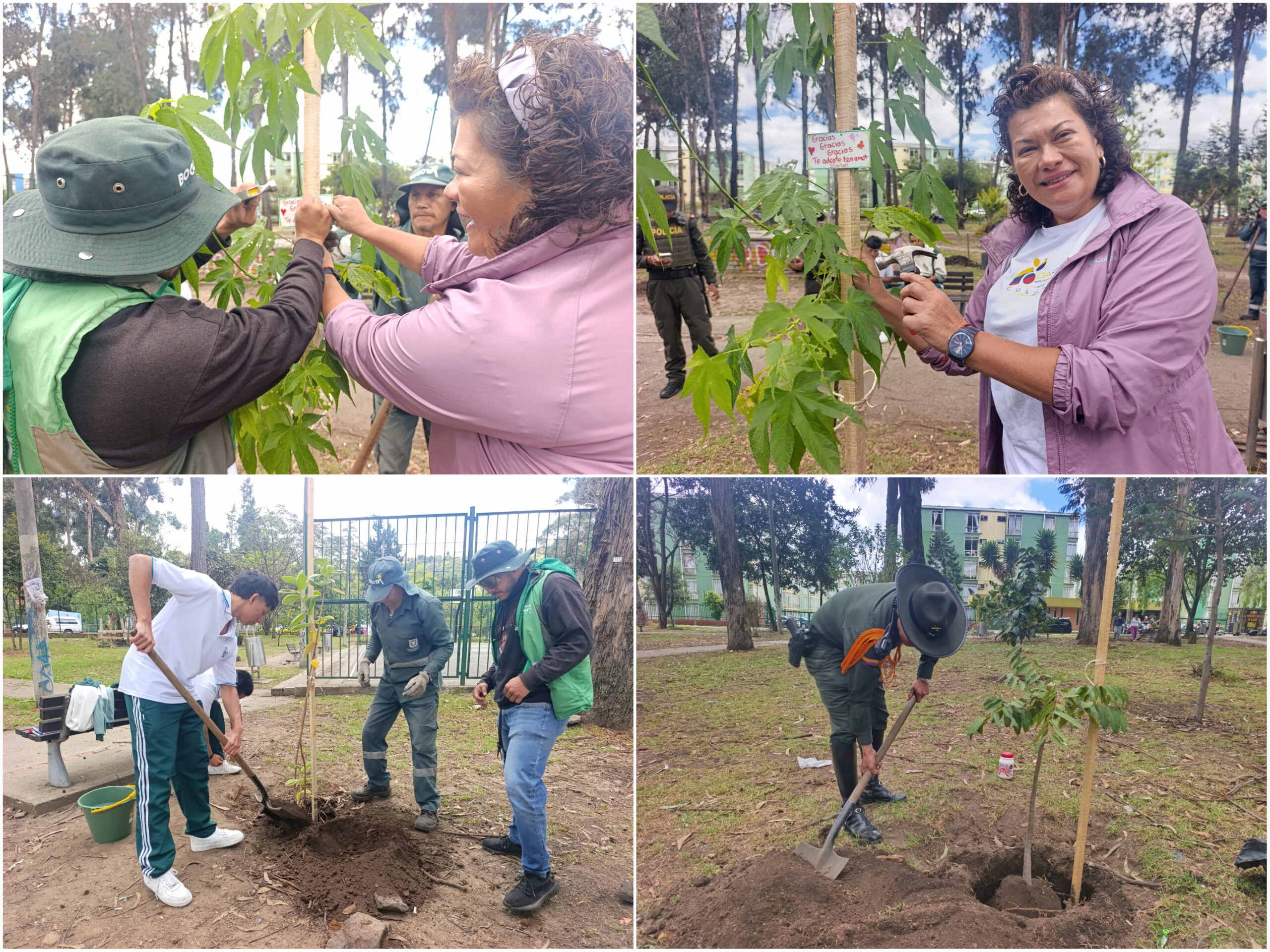 Historias del verde urbano: Los padrinos del nuevo arbolado del bosque de San Carlos