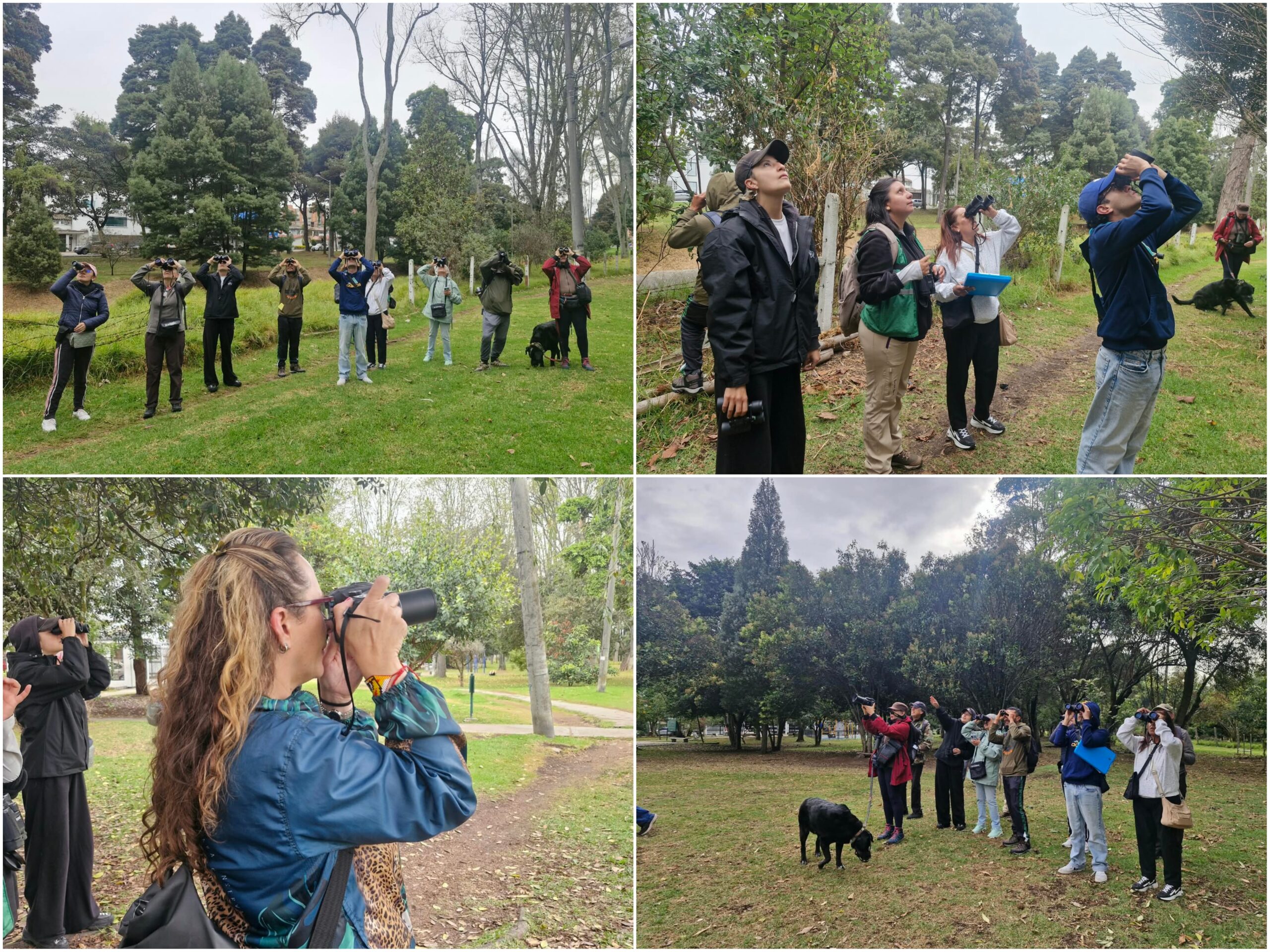 Historias del verde urbano: ¡Acciones sociales para que Bogotá conserve su verde! Historias del verde urbano: ¡Acciones sociales para que Bogotá conserve su verde!