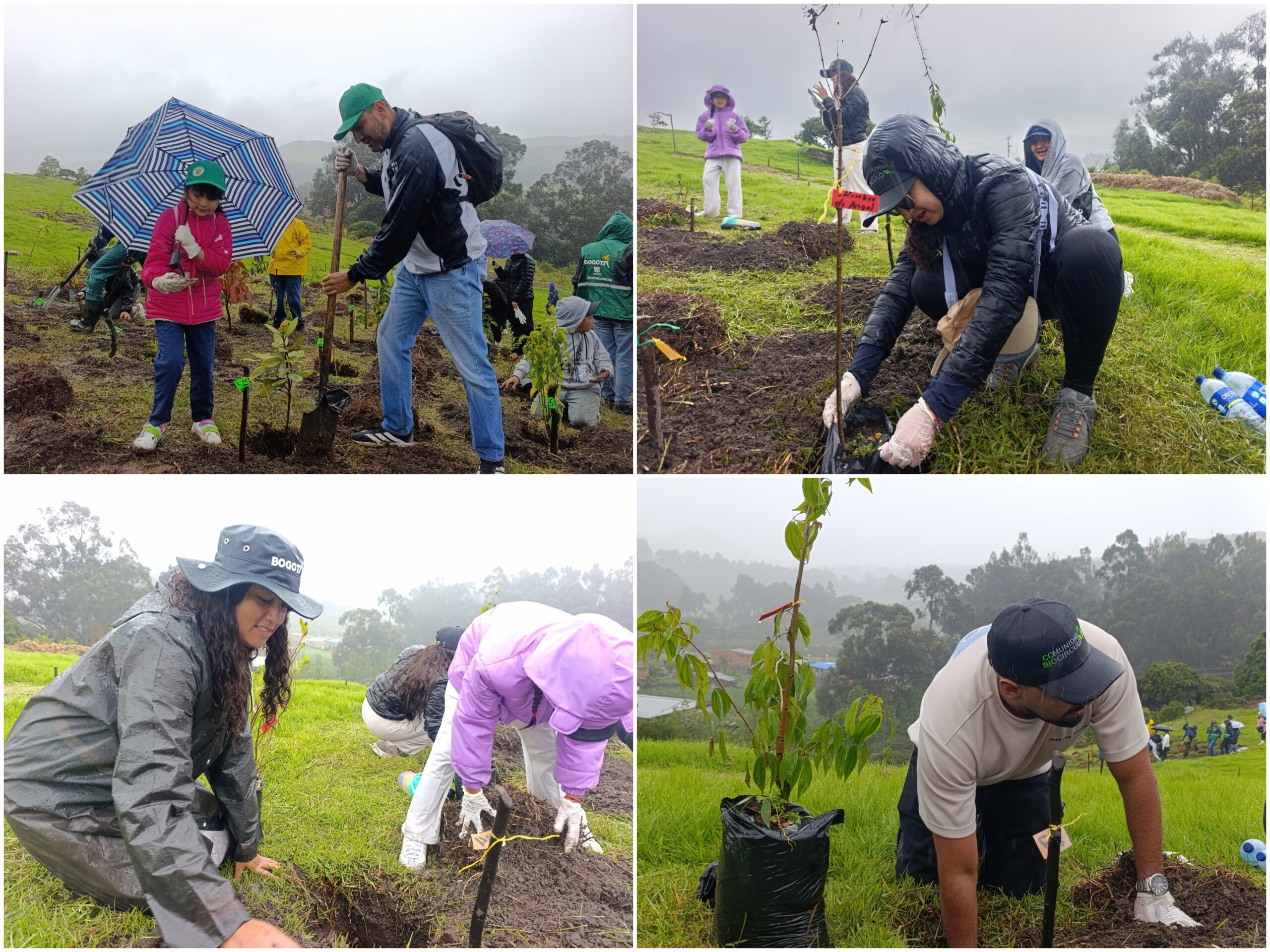 Historias del verde urbano: Jornada de restauración ecológica en la única área arqueológica protegida de Bogotá