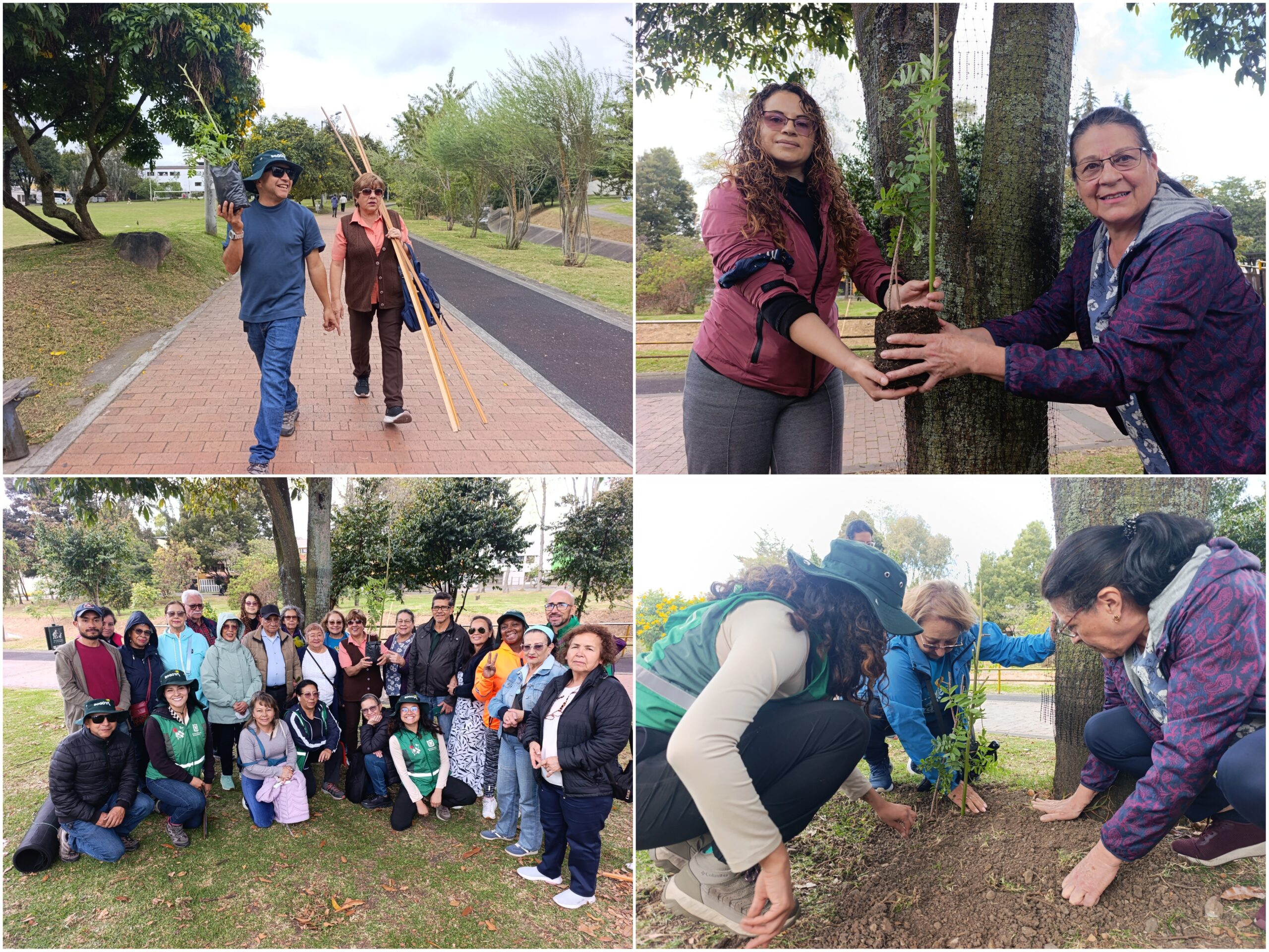 Historias del verde urbano: ¡La fiesta verde que celebró los 71 años del Jardín Botánico de Bogotá!