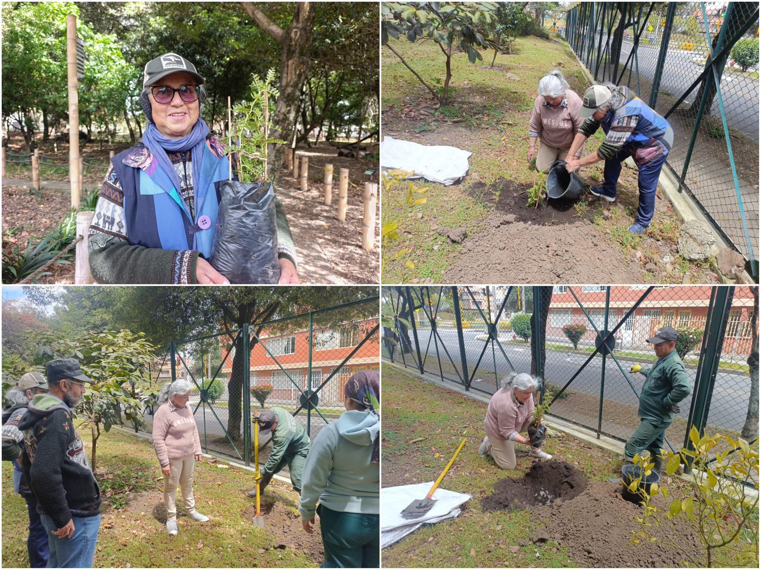 Historias del verde urbano: ¡Así fue la toma de la Mutisia en los bosques urbanos de Bogotá! Historias del verde urbano: ¡Así fue la toma de la Mutisia en los bosques urbanos de Bogotá!