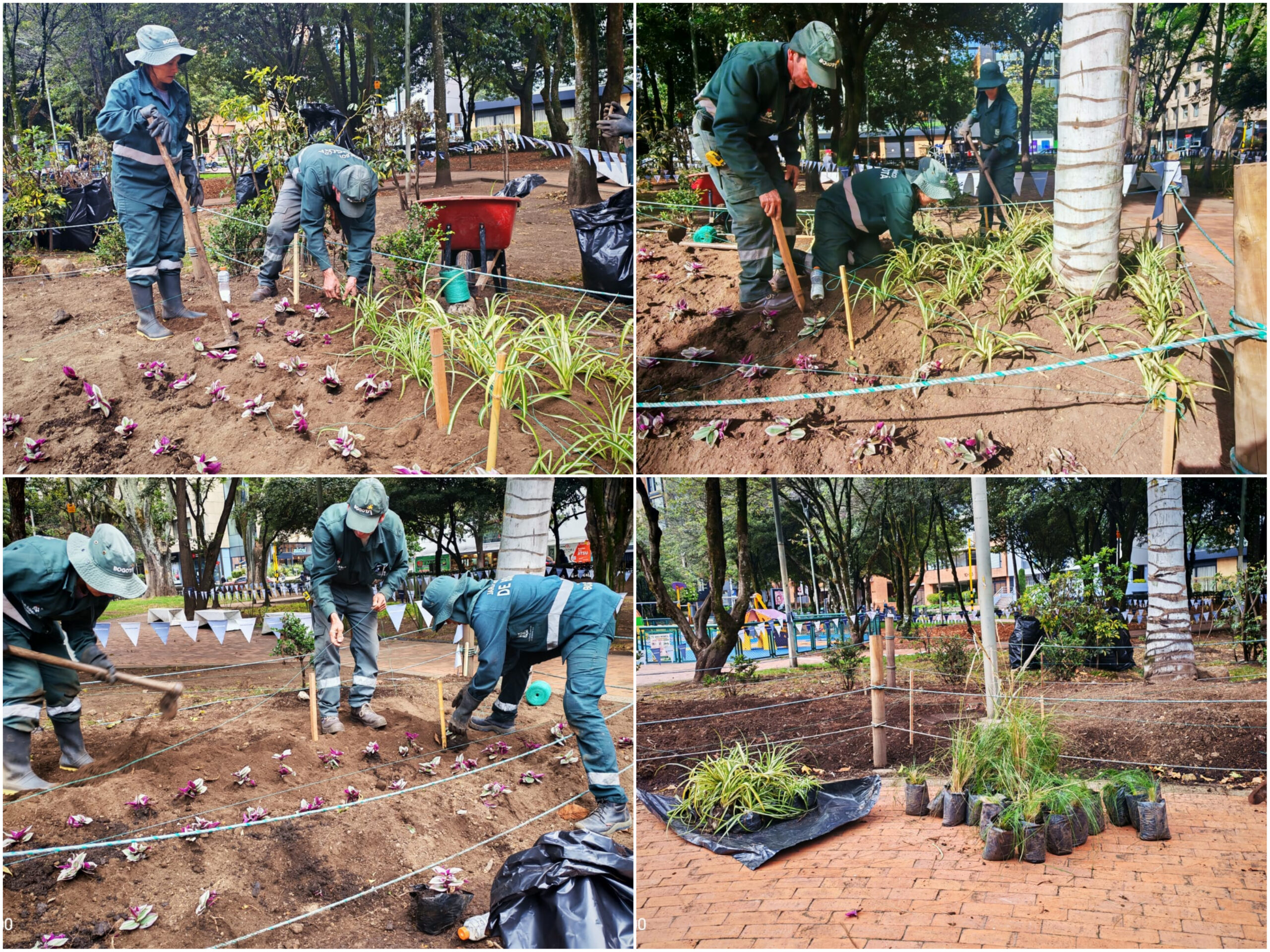 Historias del verde urbano: Las jardineras del parque El Nogal vuelven a florecer Historias del verde urbano: Las jardineras del parque El Nogal vuelven a florecer
