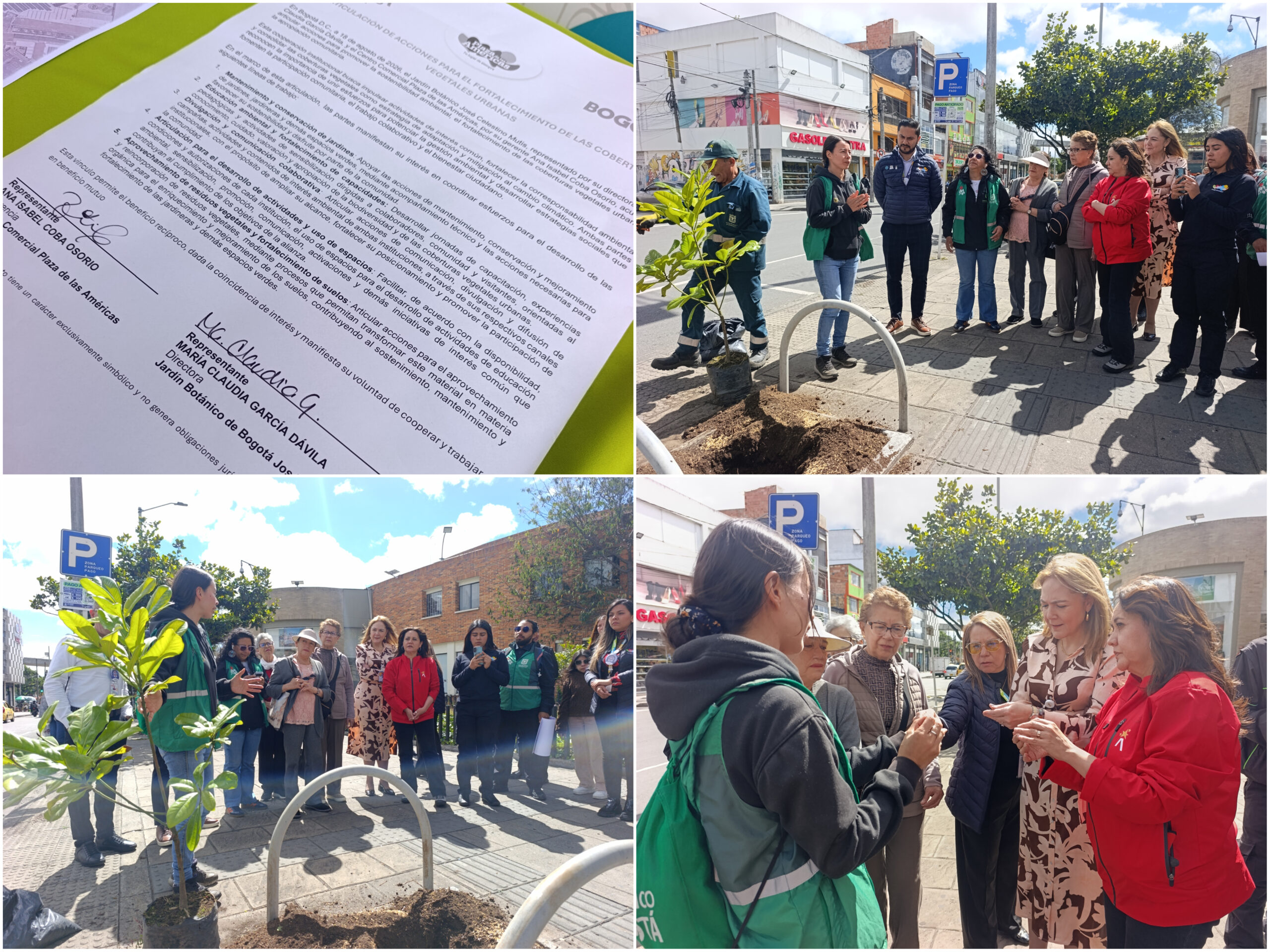 Historias del verde urbano: Plaza de las Américas, un ícono comercial de Kennedy, se sumó a la renaturalización de la ciudad