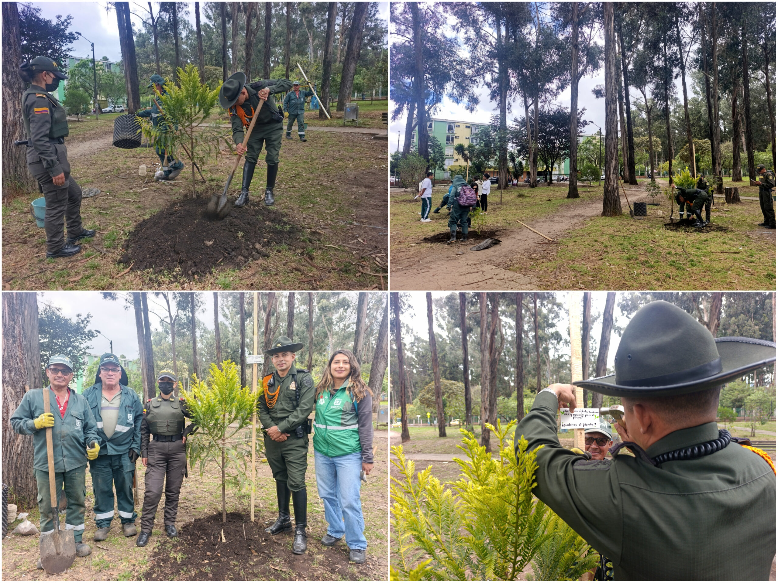 Historias del verde urbano: Los padrinos del nuevo arbolado del bosque de San Carlos