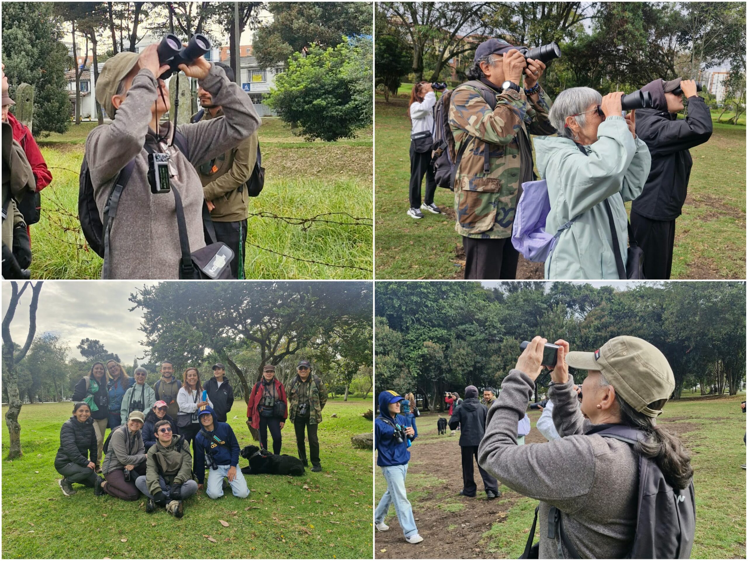 Historias del verde urbano: ¡Acciones sociales para que Bogotá conserve su verde! Historias del verde urbano: ¡Acciones sociales para que Bogotá conserve su verde!