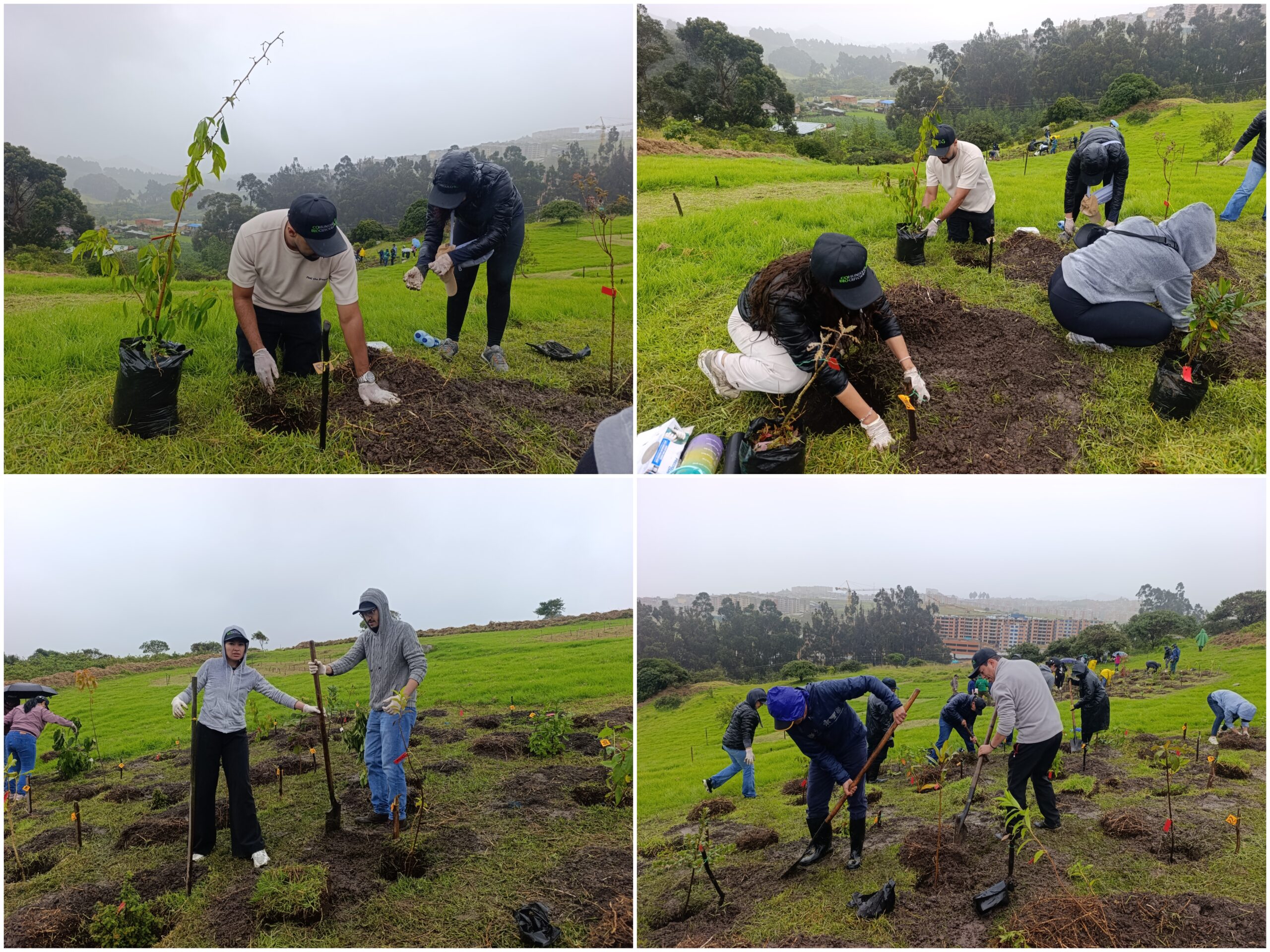 Historias del verde urbano: Jornada de restauración ecológica en la única área arqueológica protegida de Bogotá