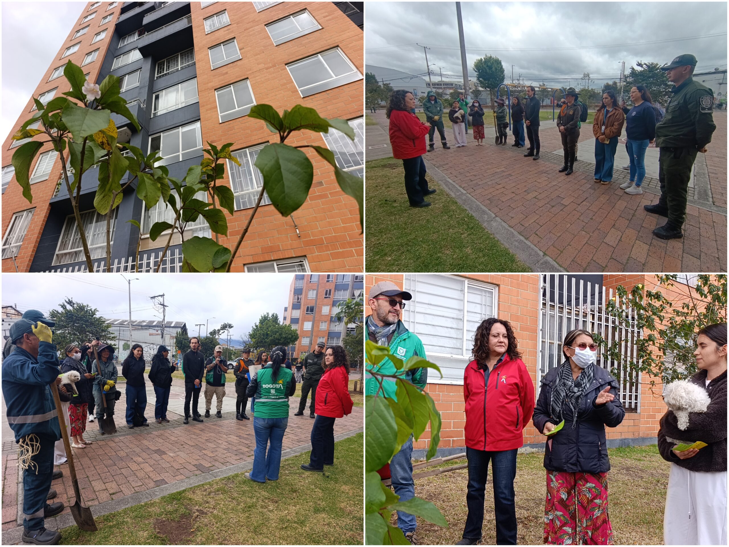 Historias del verde urbano: ¡La fiesta verde que celebró los 71 años del Jardín Botánico de Bogotá!