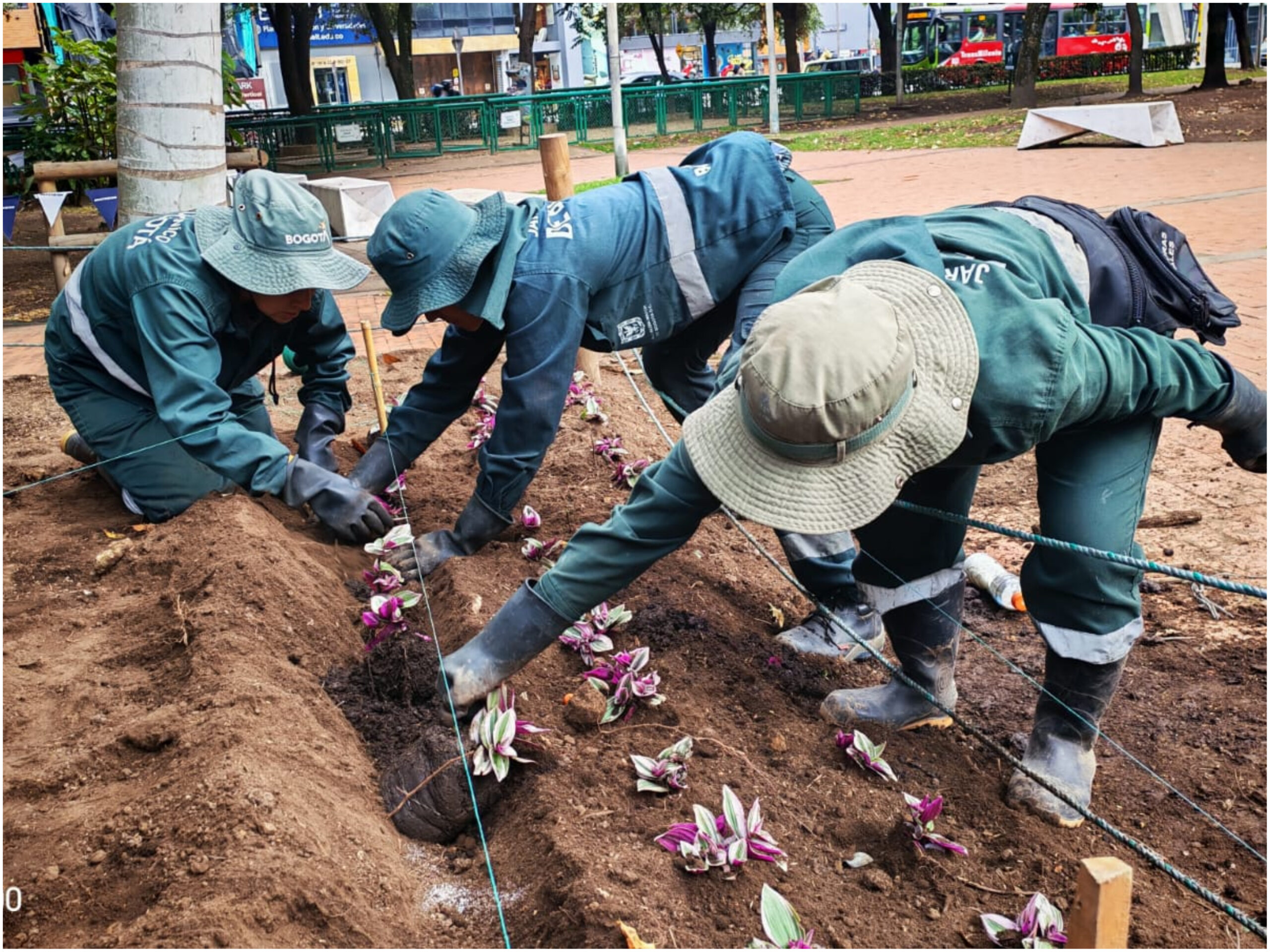 Historias del verde urbano: Las jardineras del parque El Nogal vuelven a florecer Historias del verde urbano: Las jardineras del parque El Nogal vuelven a florecer