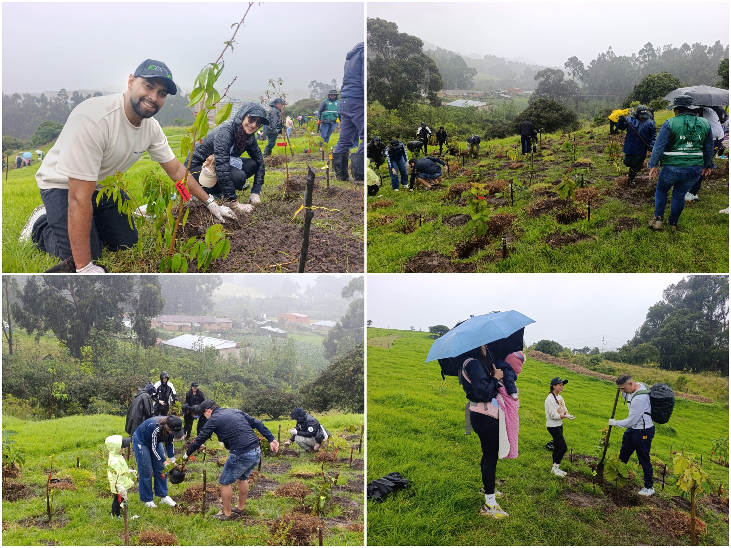 Historias del verde urbano: Jornada de restauración ecológica en la única área arqueológica protegida de Bogotá