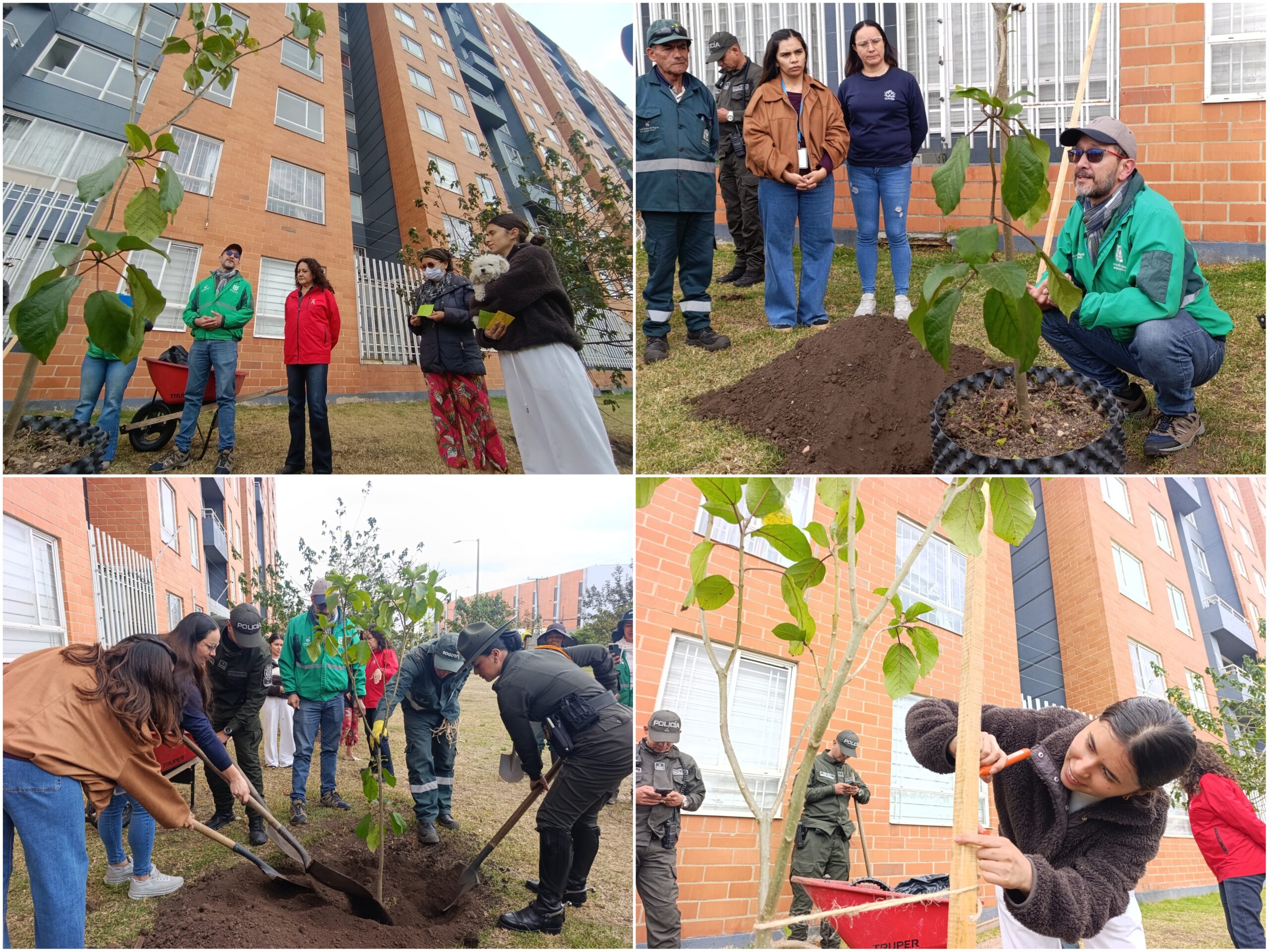 Historias del verde urbano: ¡La fiesta verde que celebró los 71 años del Jardín Botánico de Bogotá!
