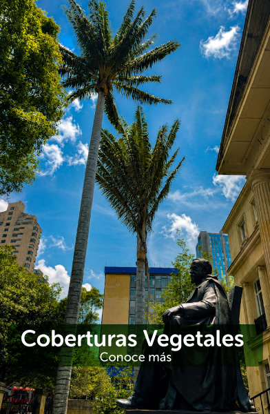 bnt_coberturas